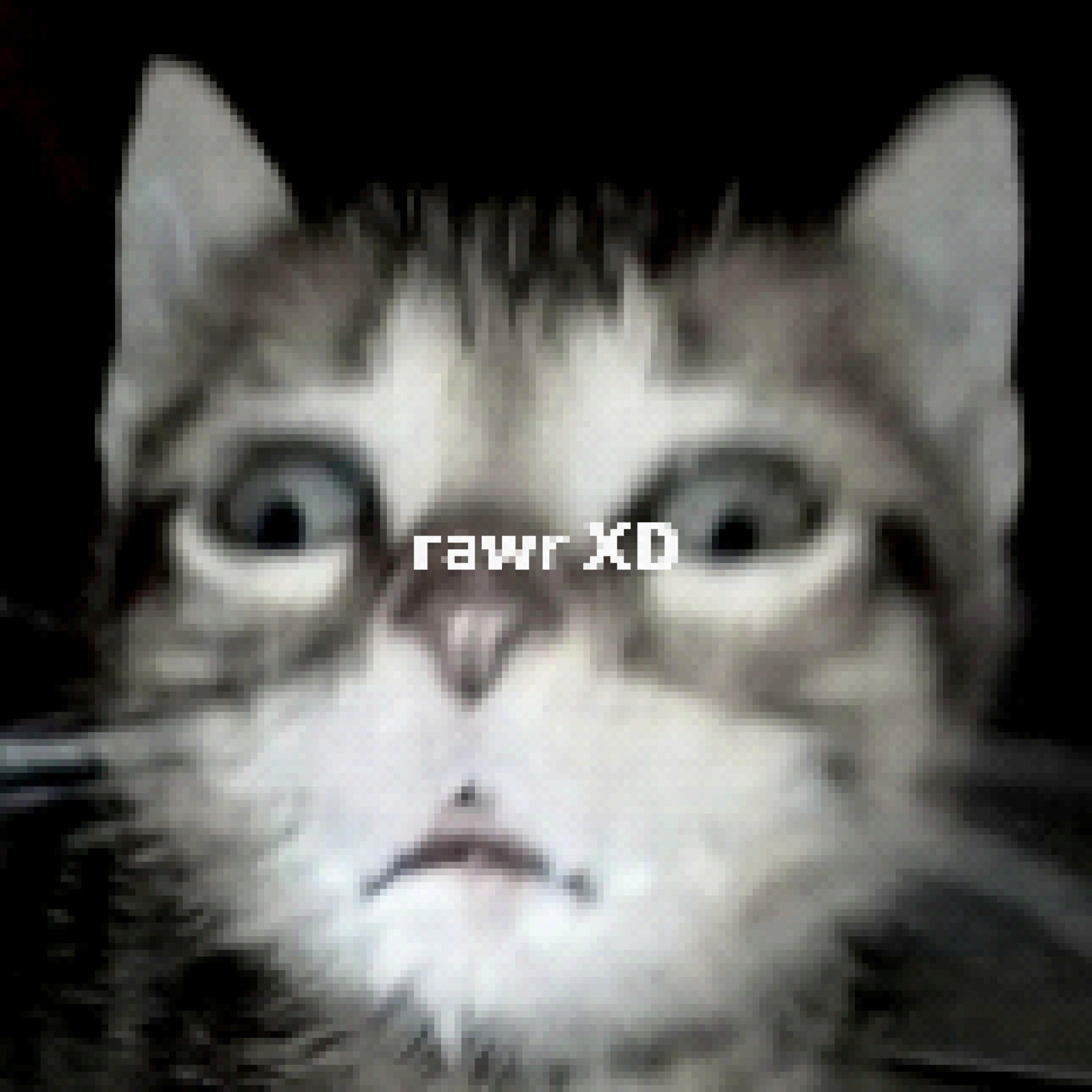 Релиз rawr XD