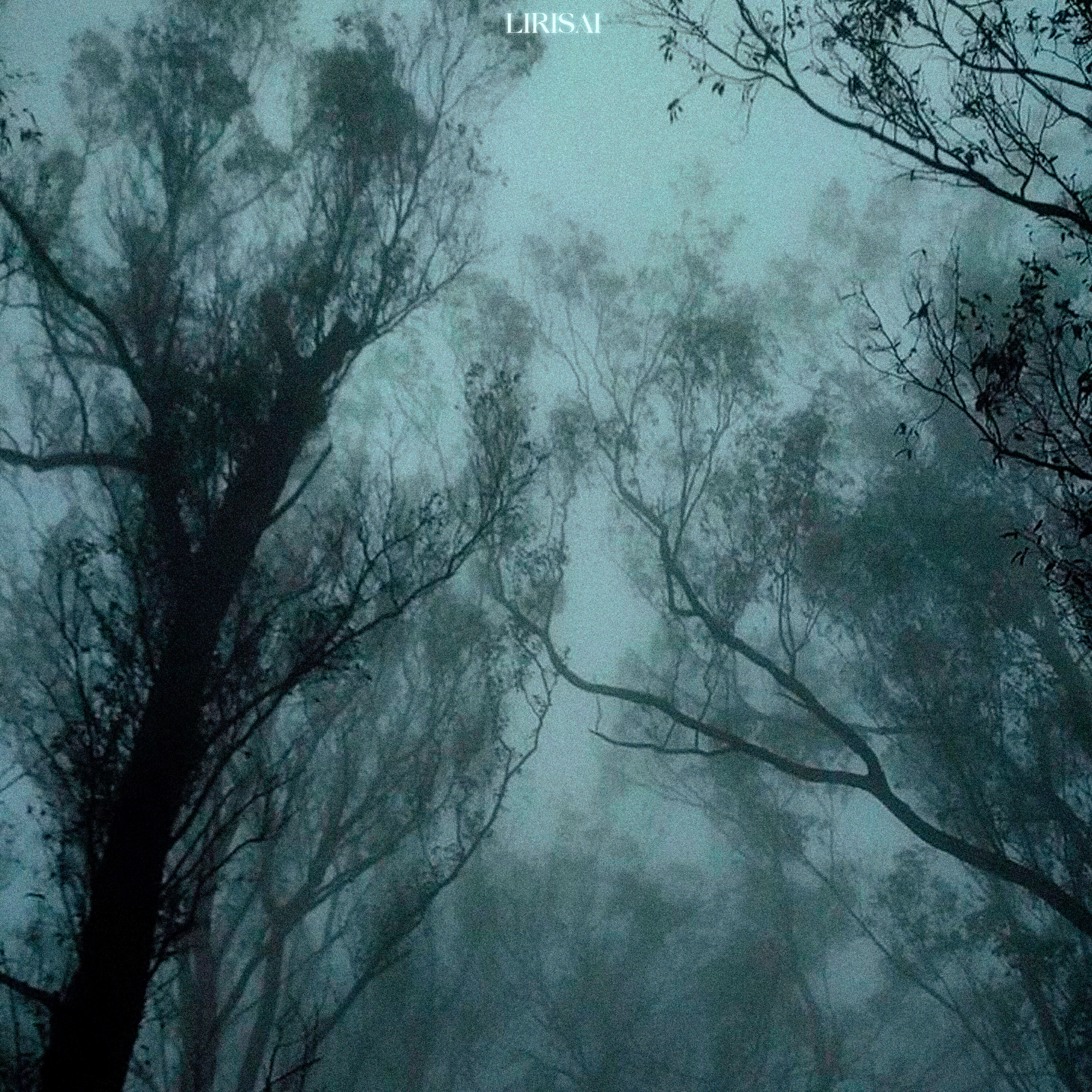 Релиз Road Through the Forest