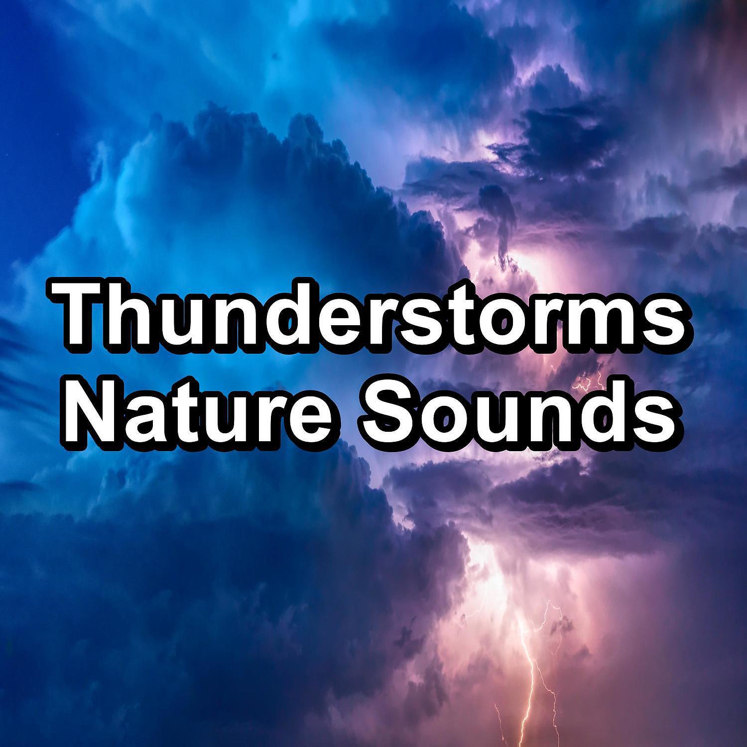 Релиз Thunderstorms Nature Sounds