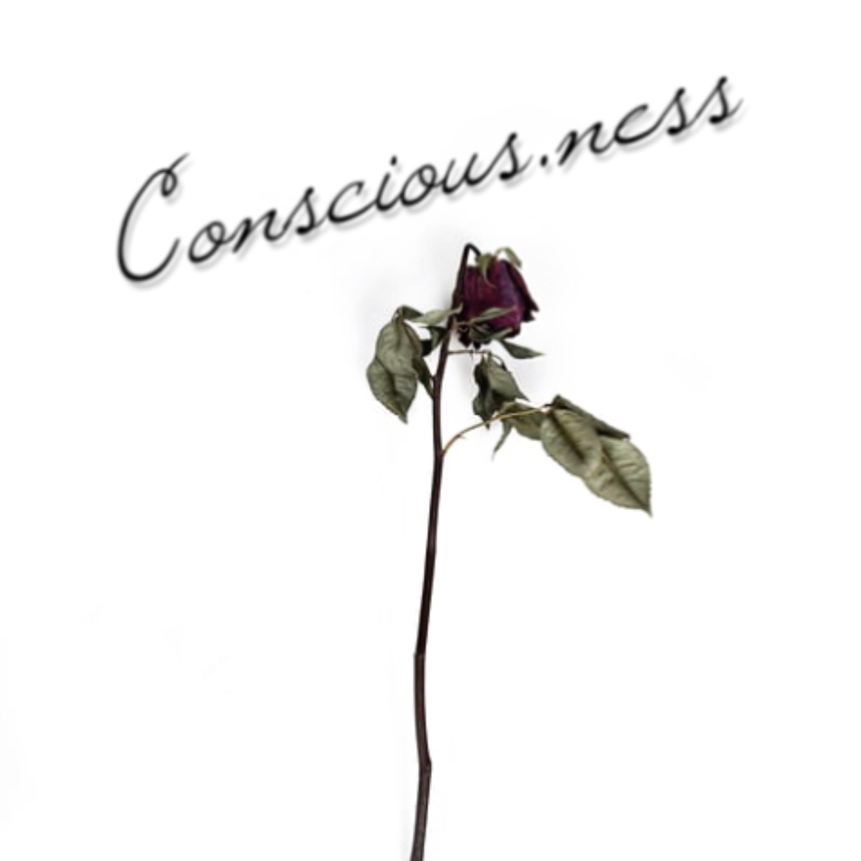 Релиз Conscious-Ness