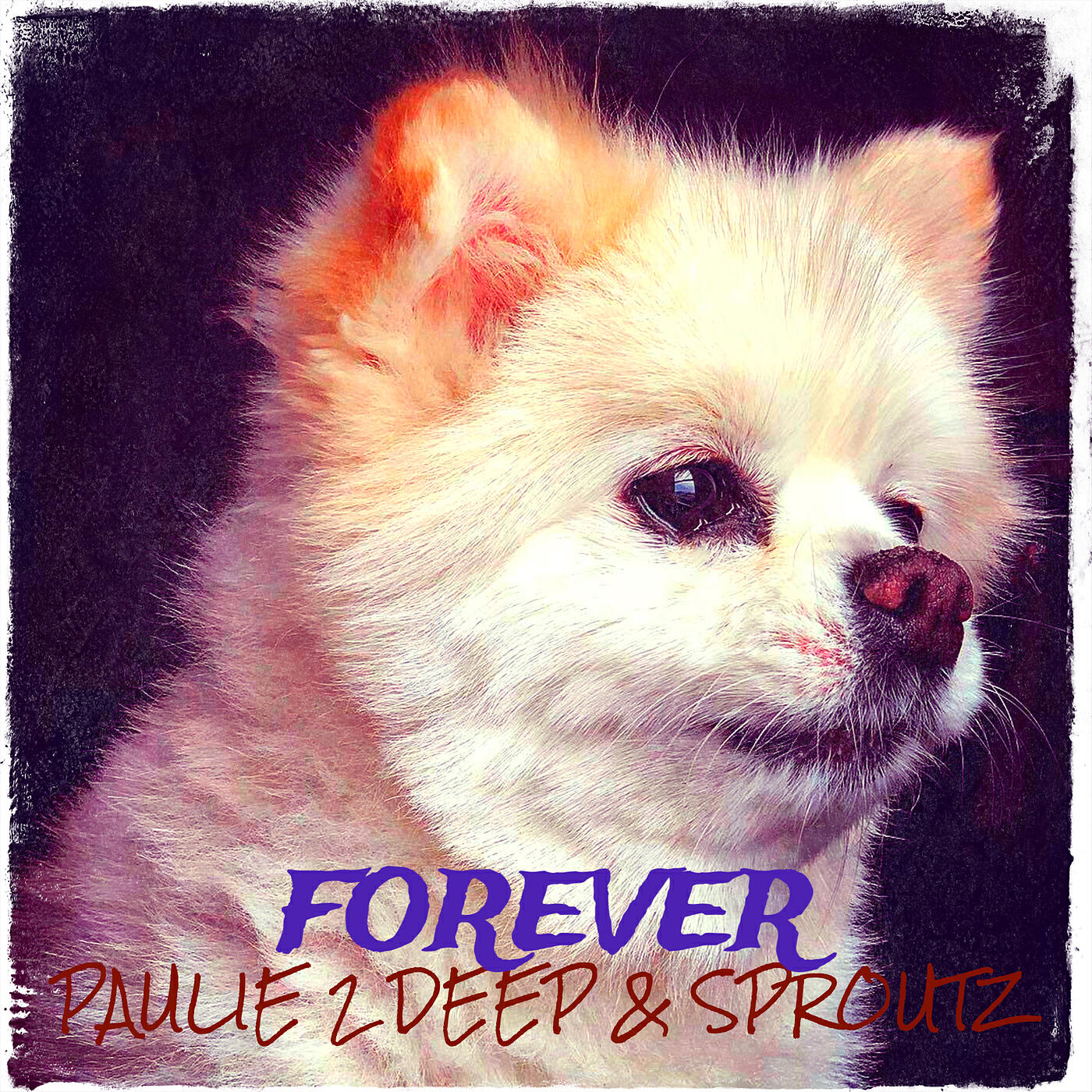 Релиз Forever