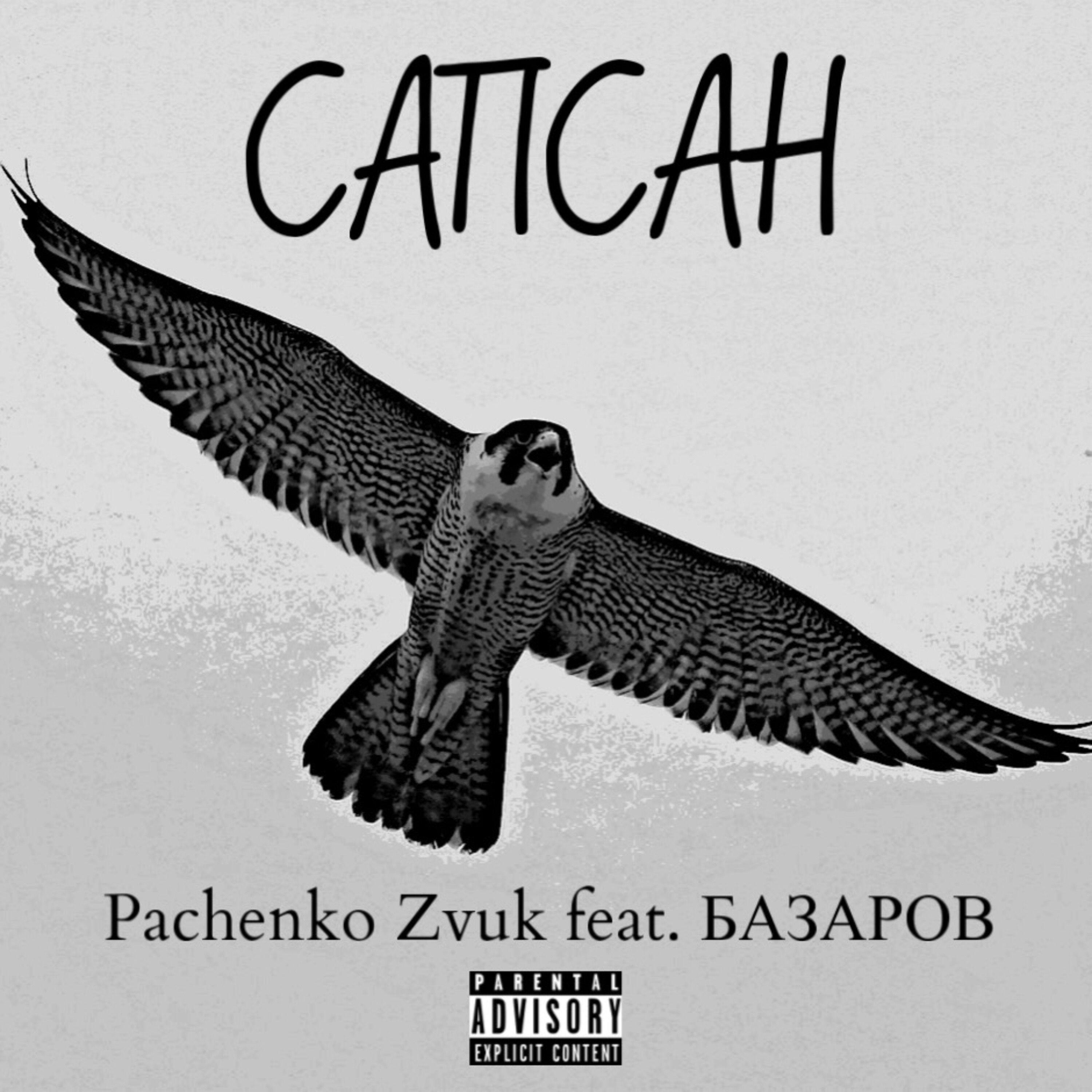 Релиз Сапсан