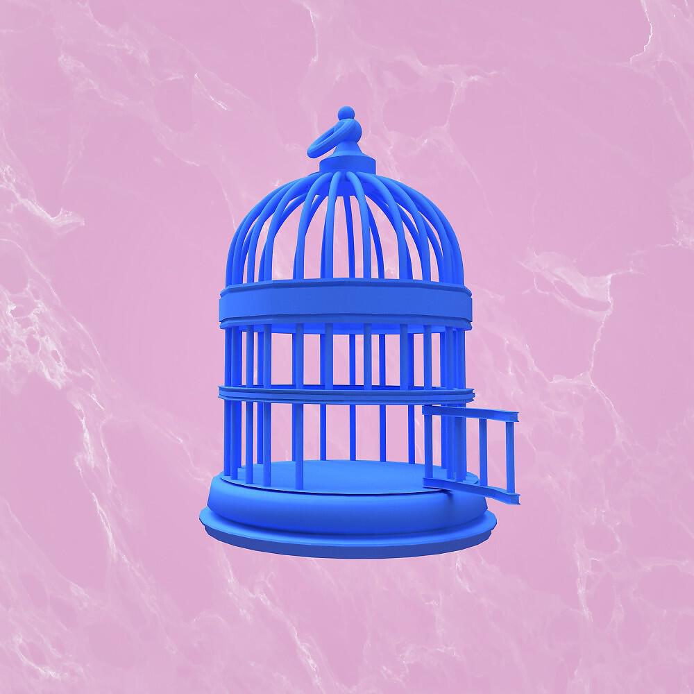 Релиз Illusionist