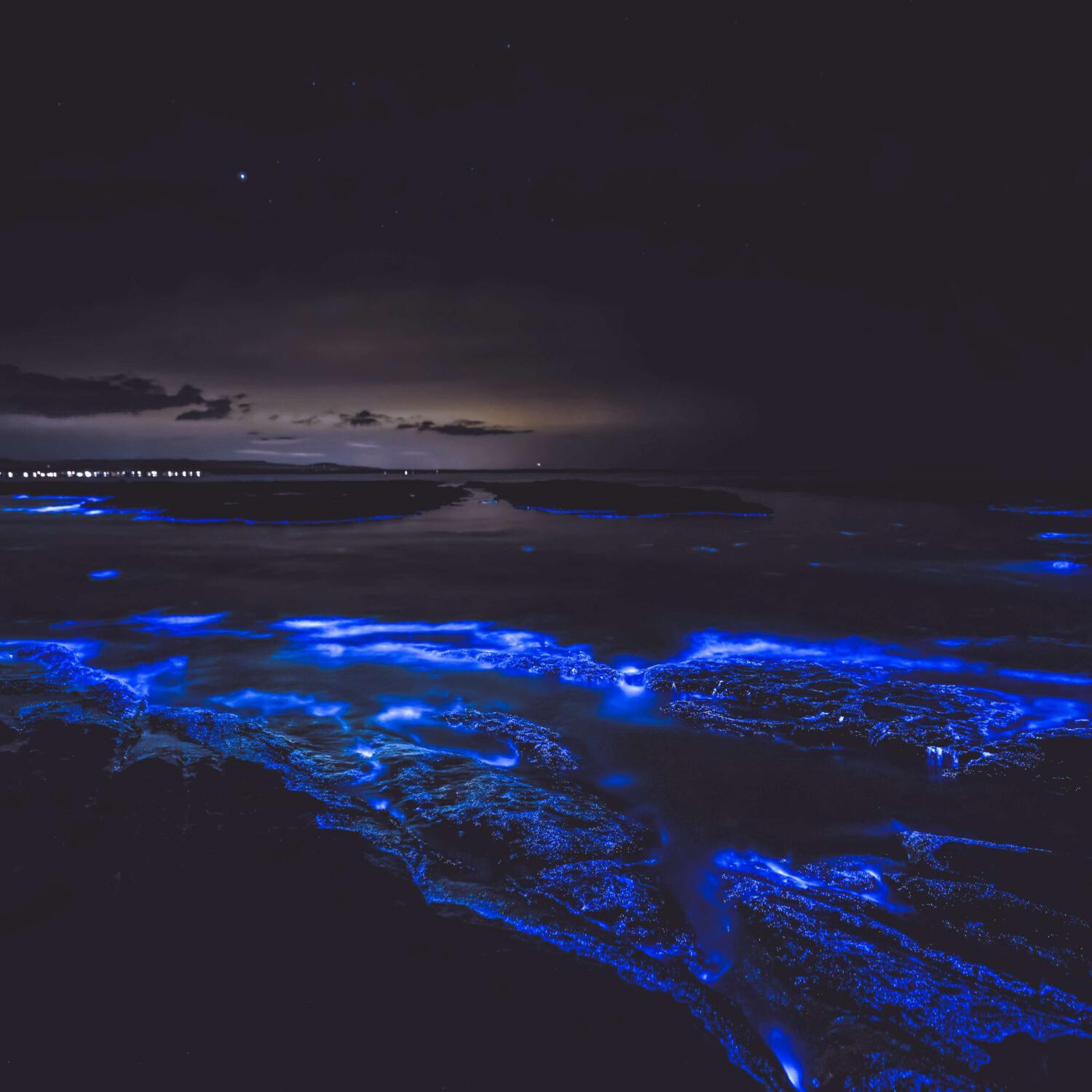 Релиз lonely ocean (remixes)