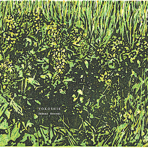 Sakana Hosomi
