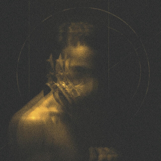 Релиз The 3rd Sessions