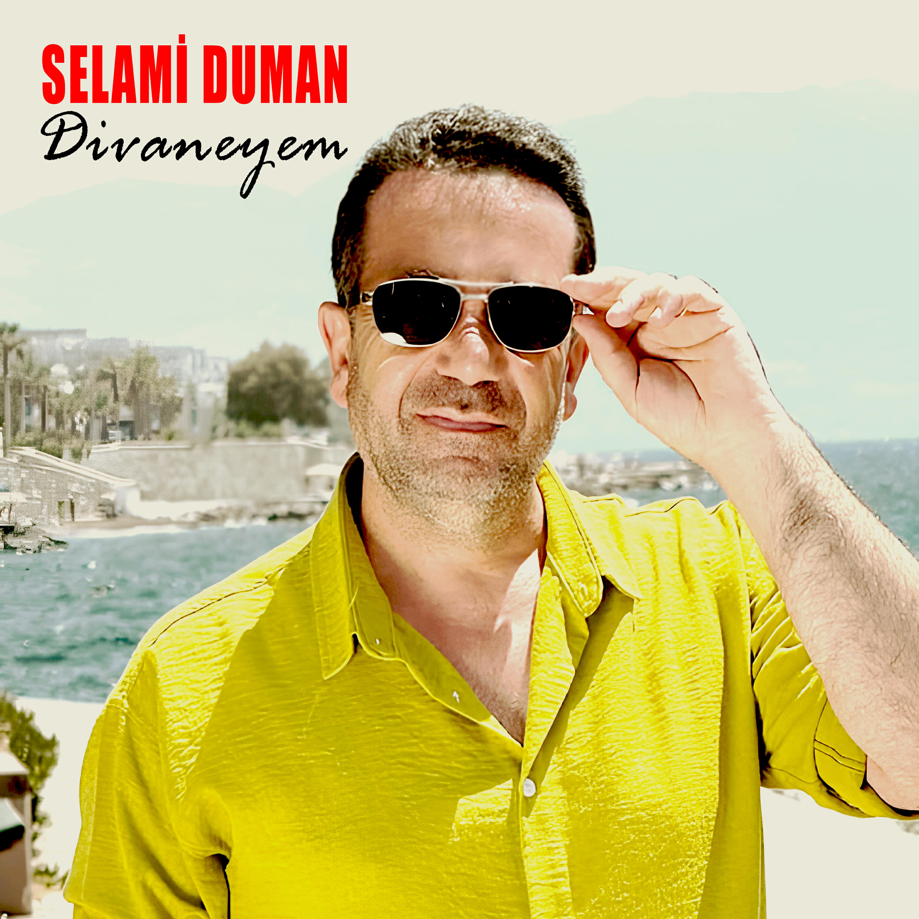 Релиз Divaneyem