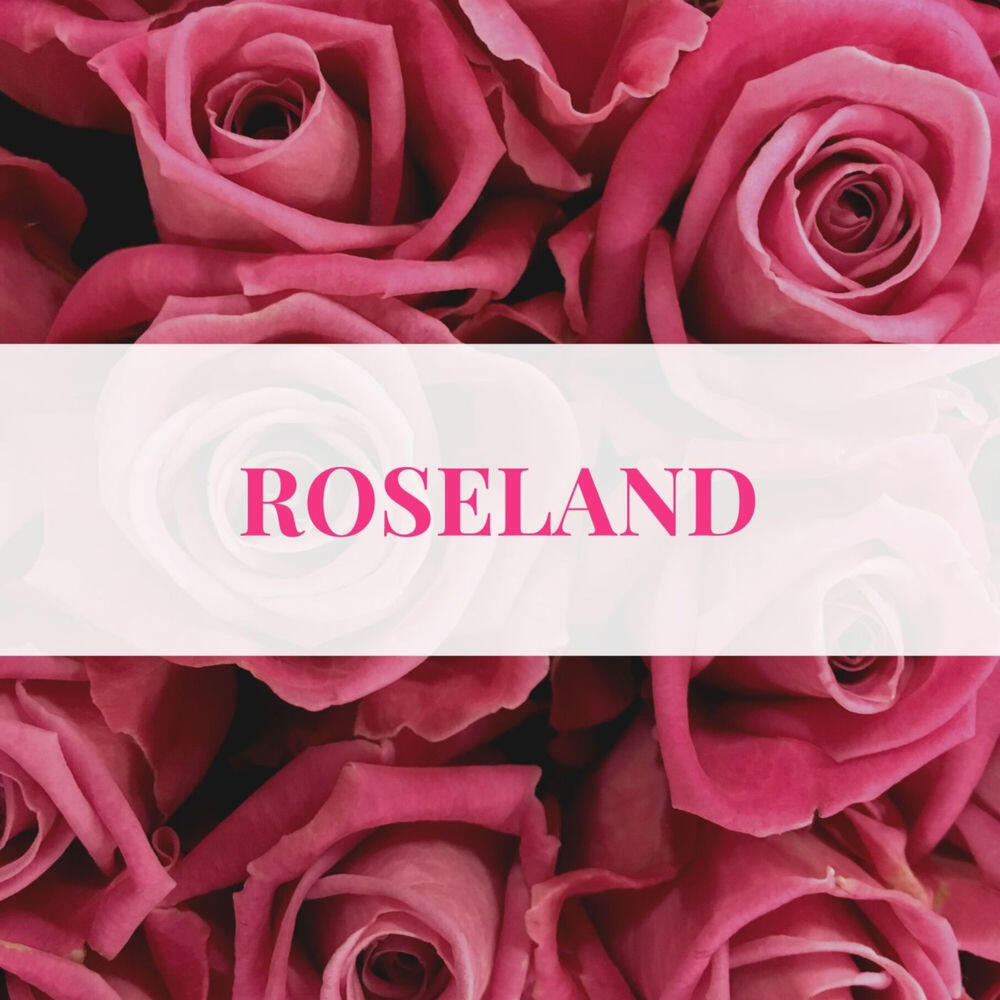 Релиз Roseland
