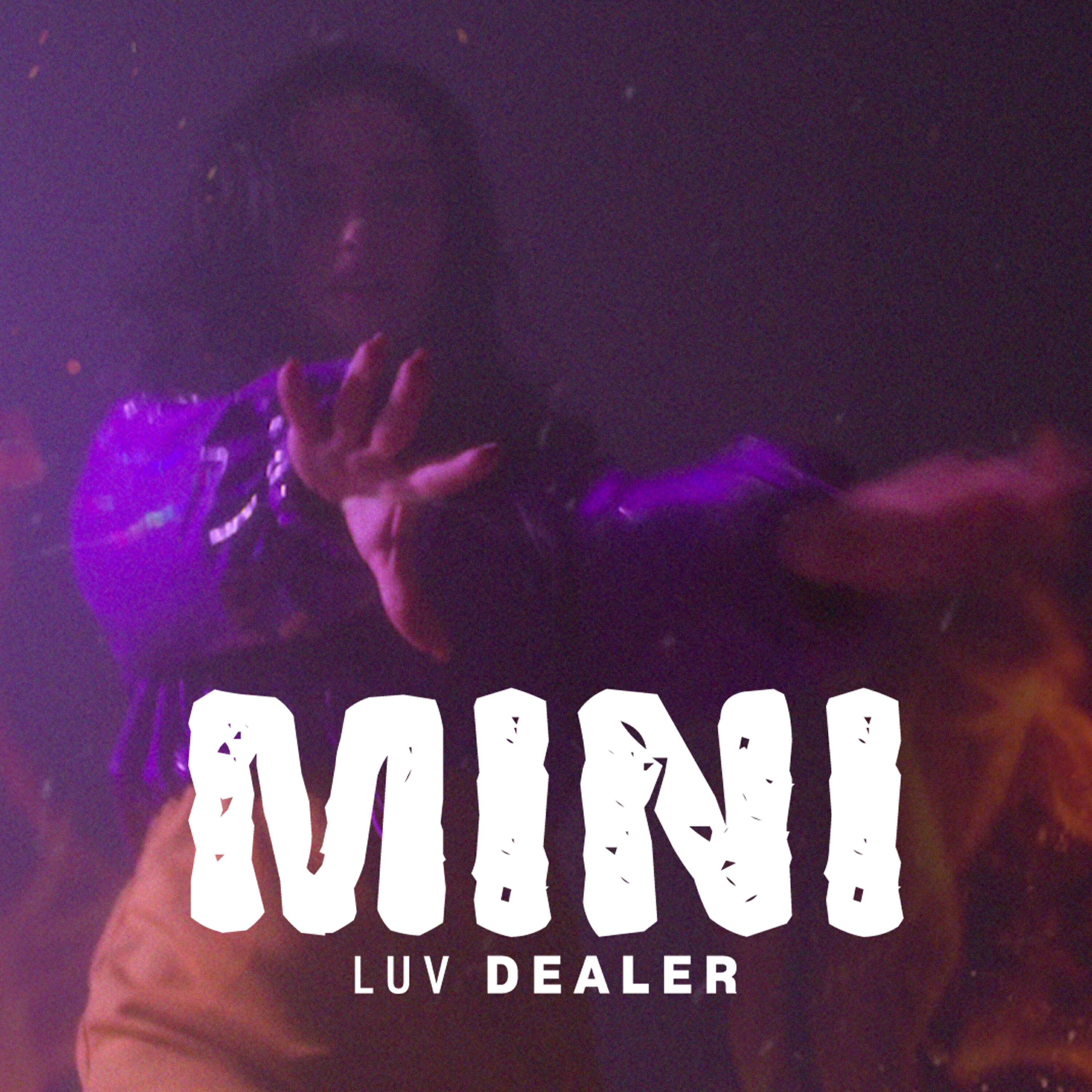LuvDealer