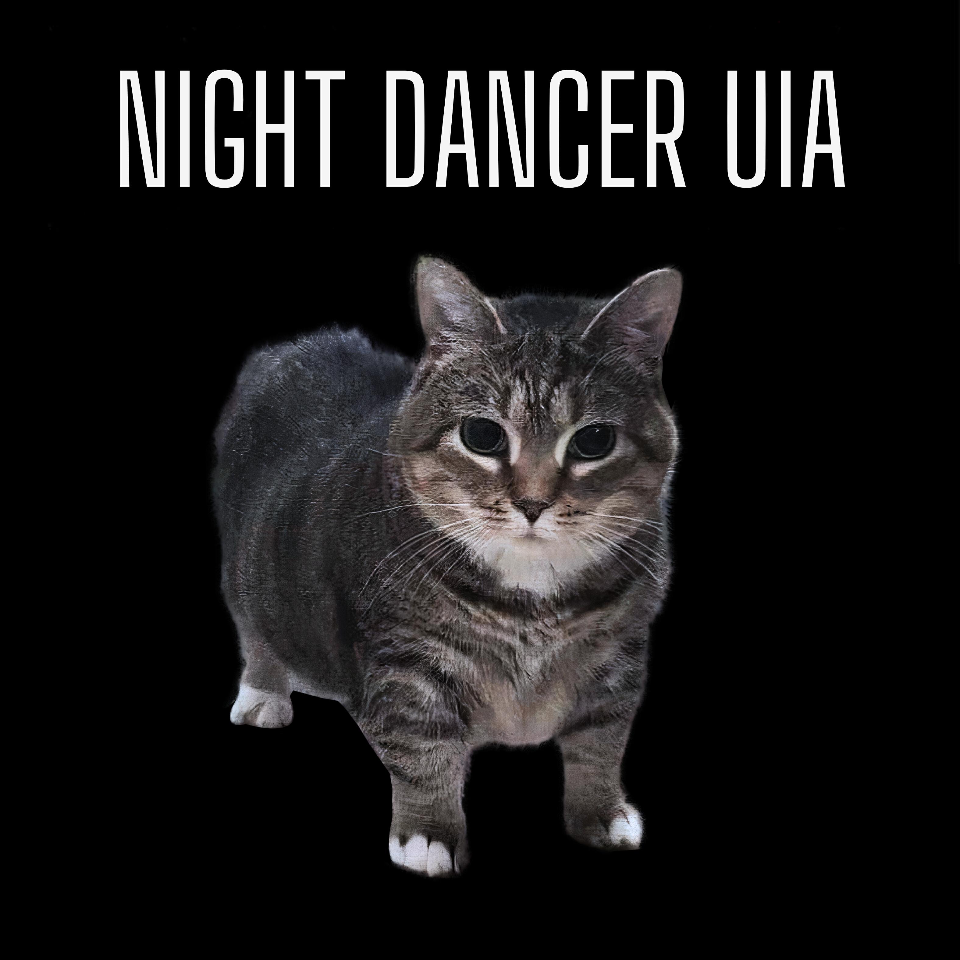 Релиз Night Dancer UIA
