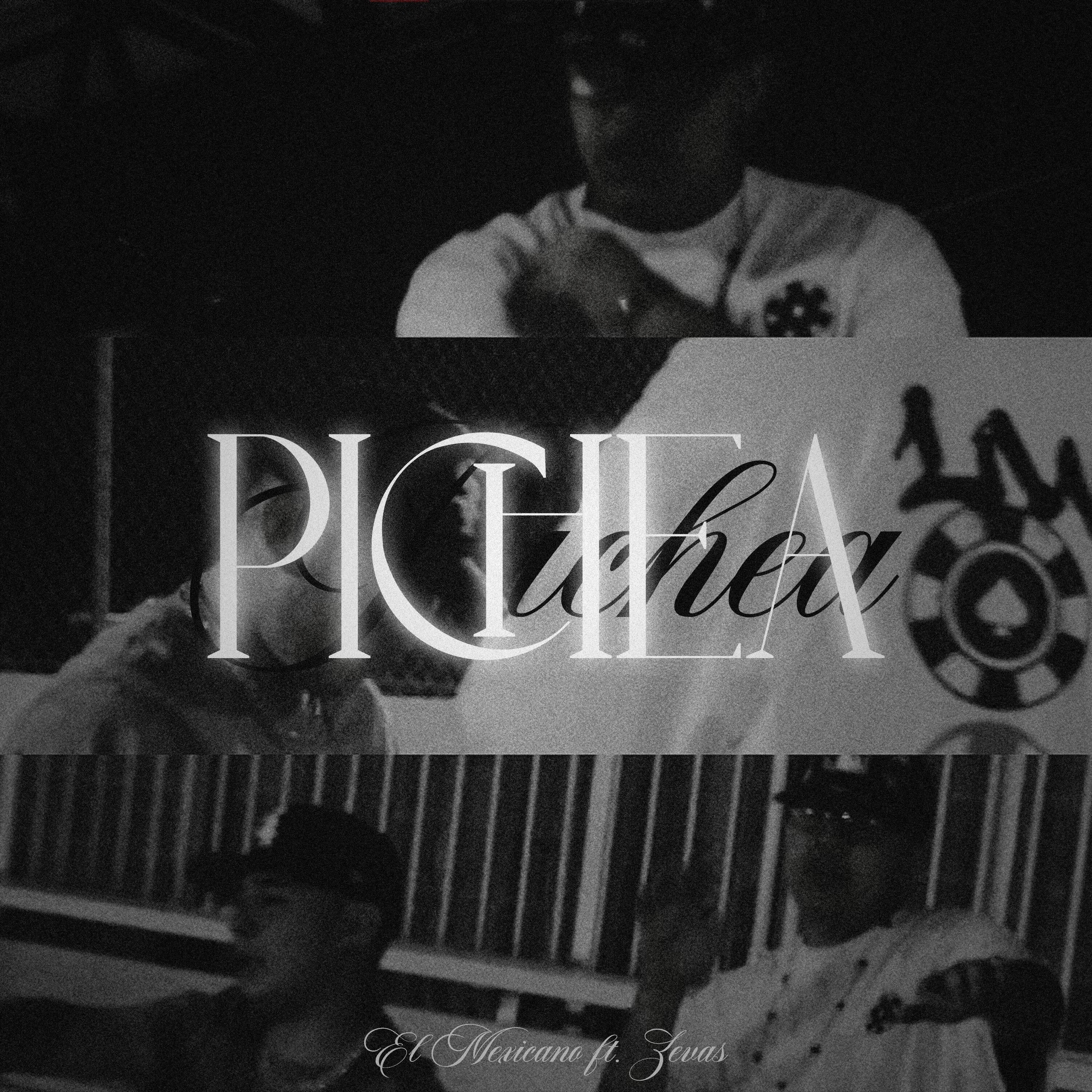 Релиз Pichea