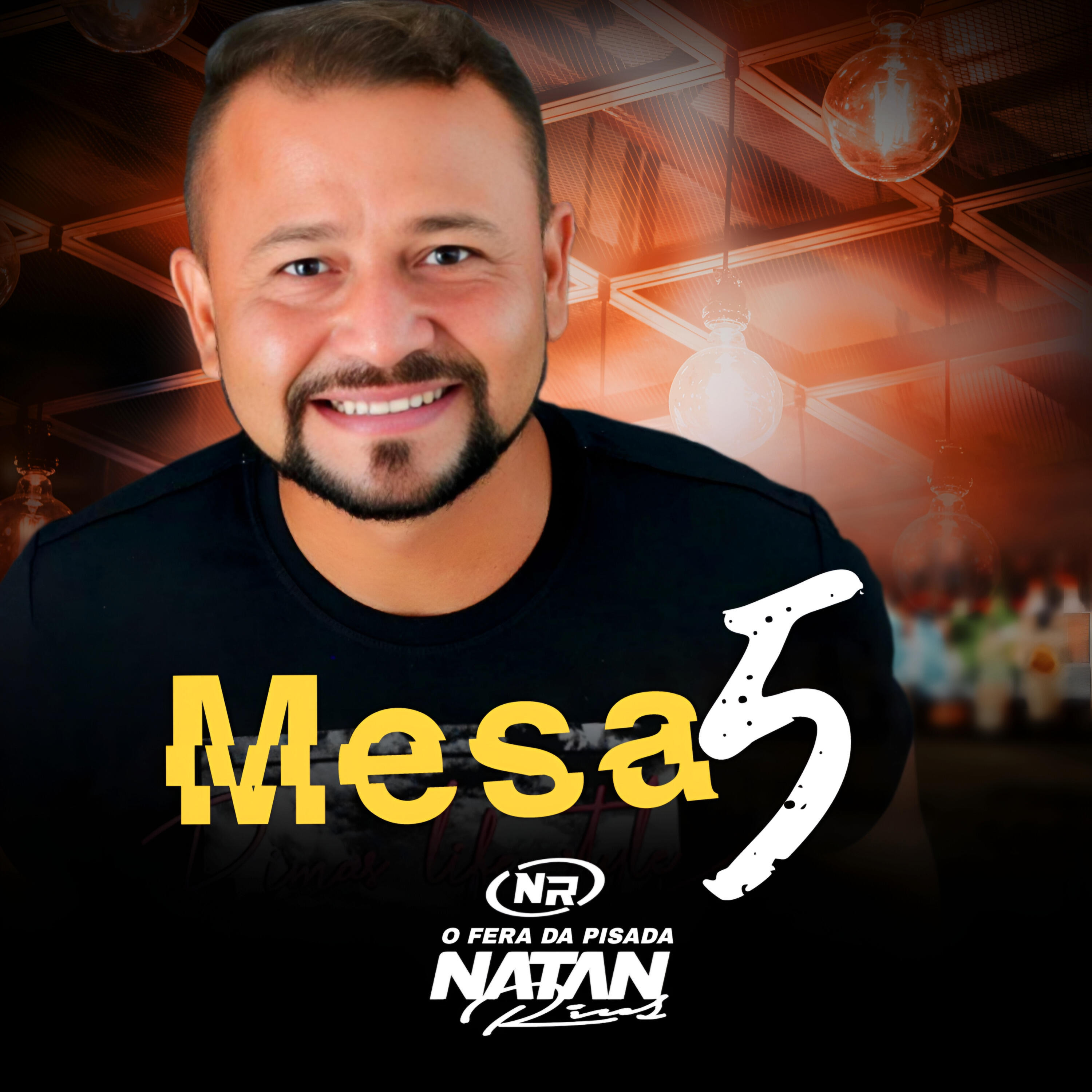 Постер альбома Mesa 5