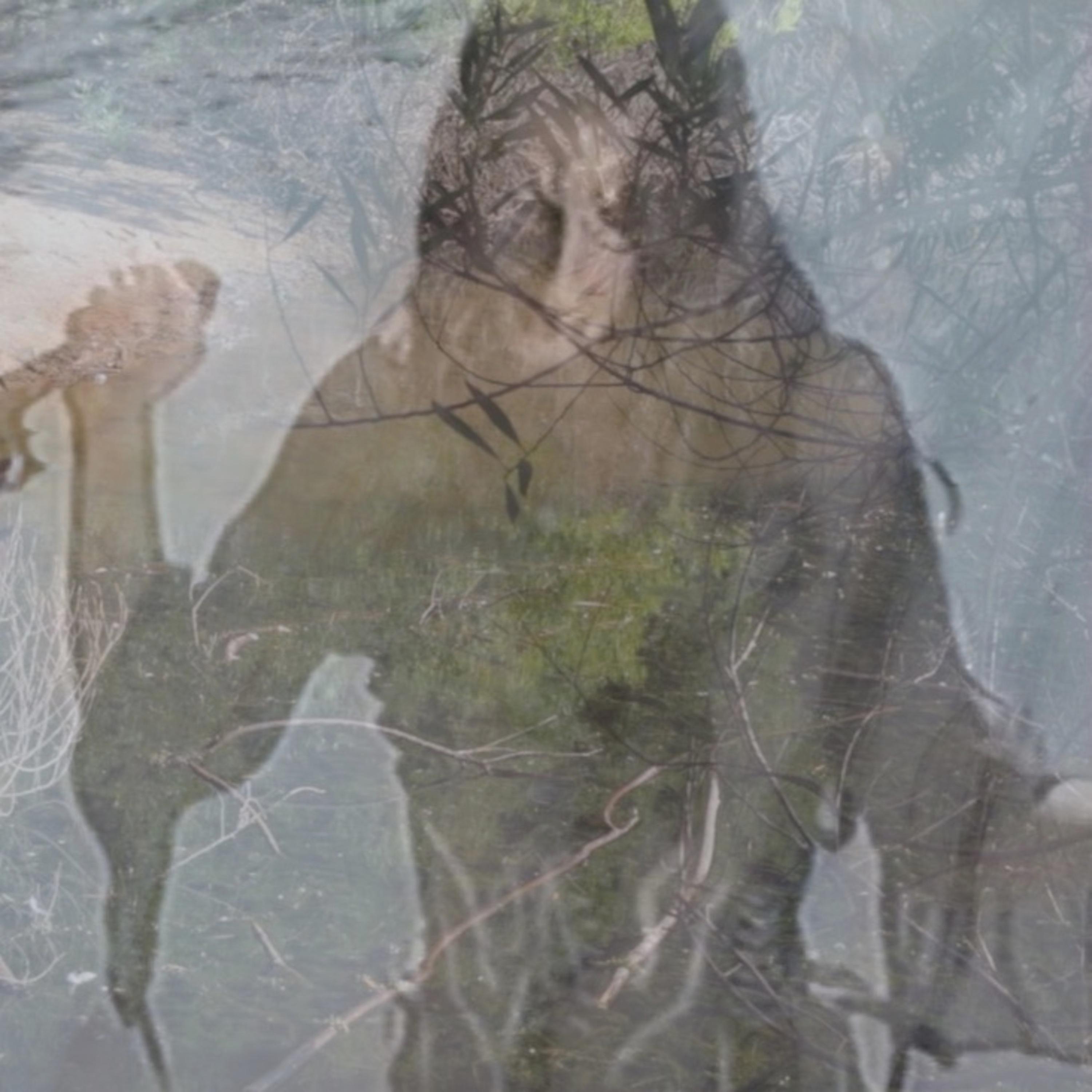 Релиз Lamento