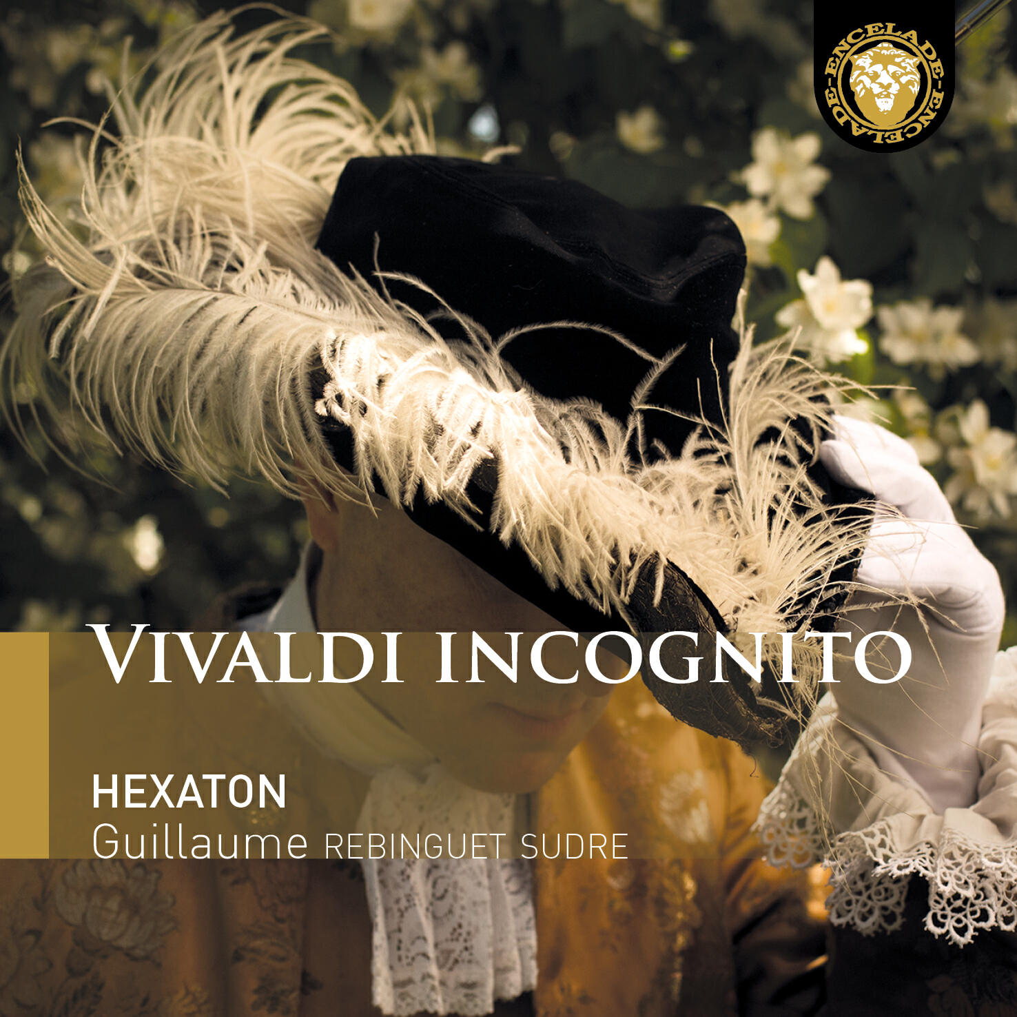 Релиз Vivaldi incognito