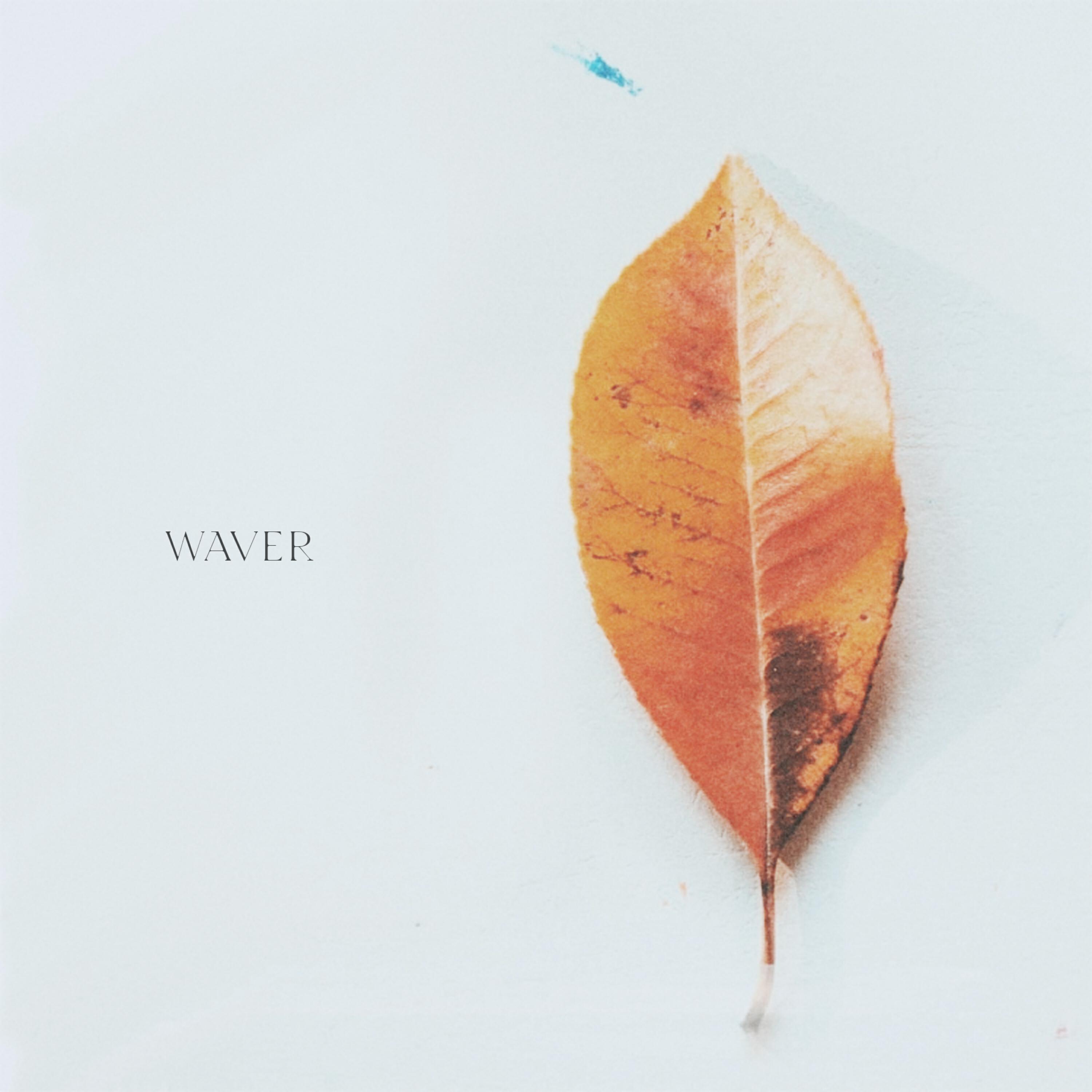 Релиз Waver