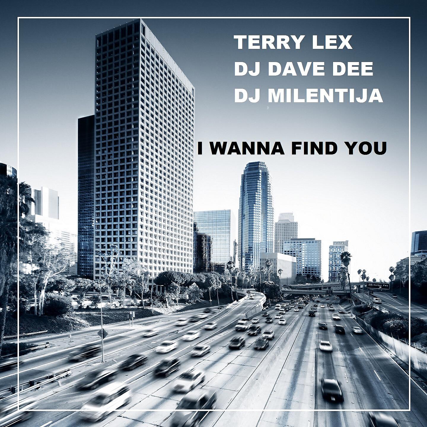 Релиз I Wanna Find You