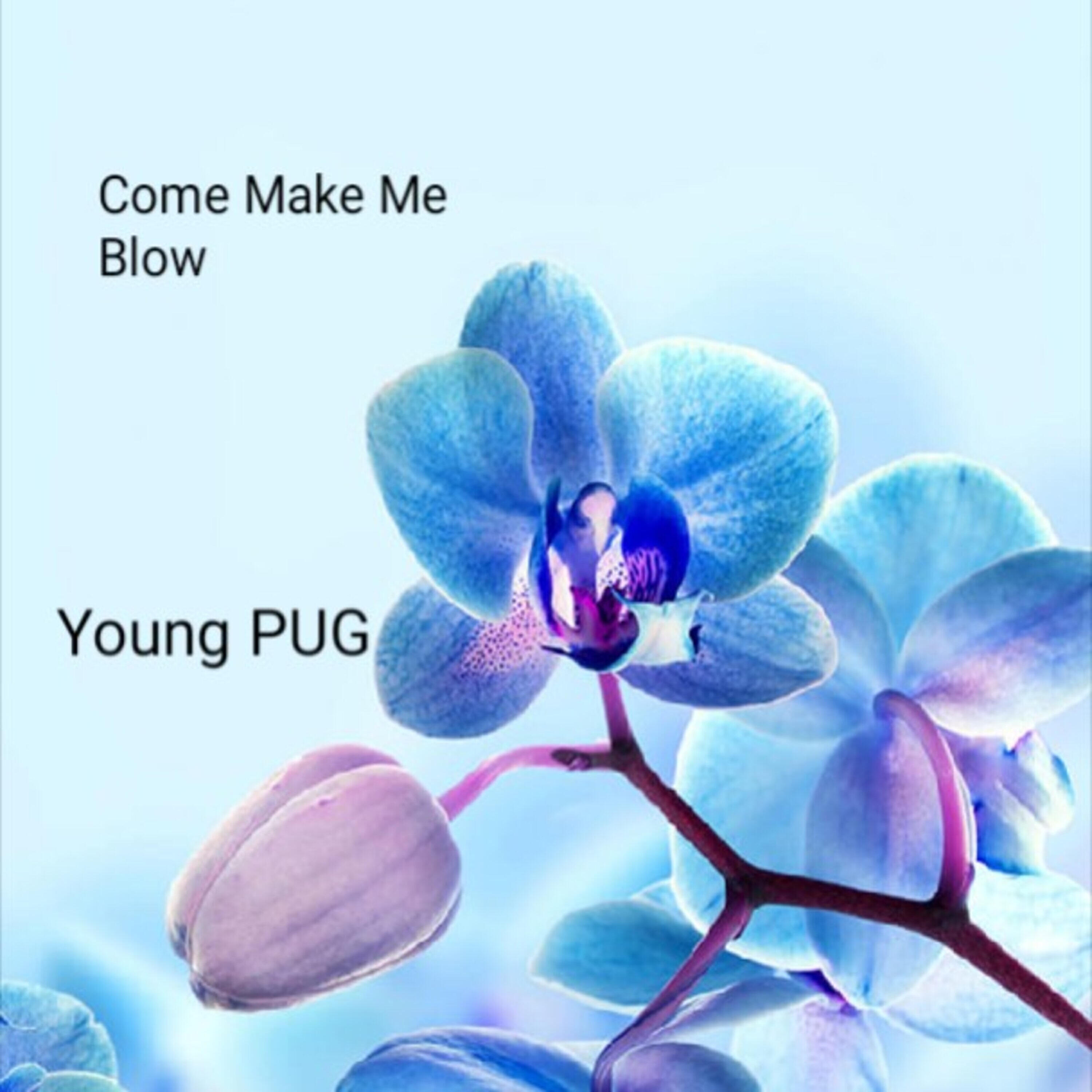 Релиз Come Make Me Blow