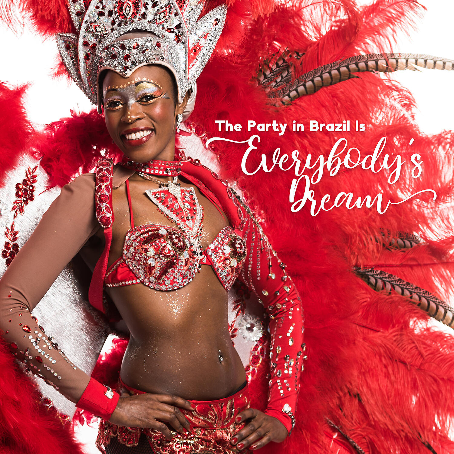 Постер альбома The Party in Brazil Is Everybody's Dream