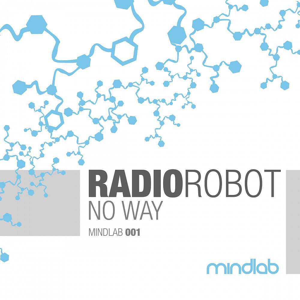 Radiorobot