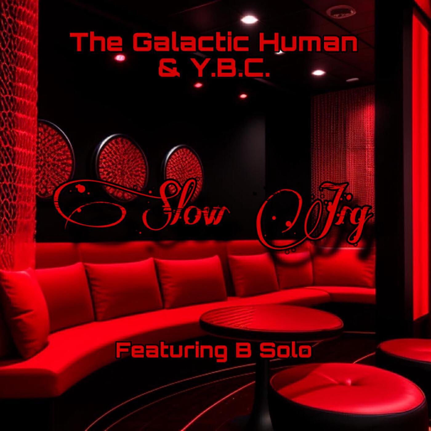 The Galactic Human