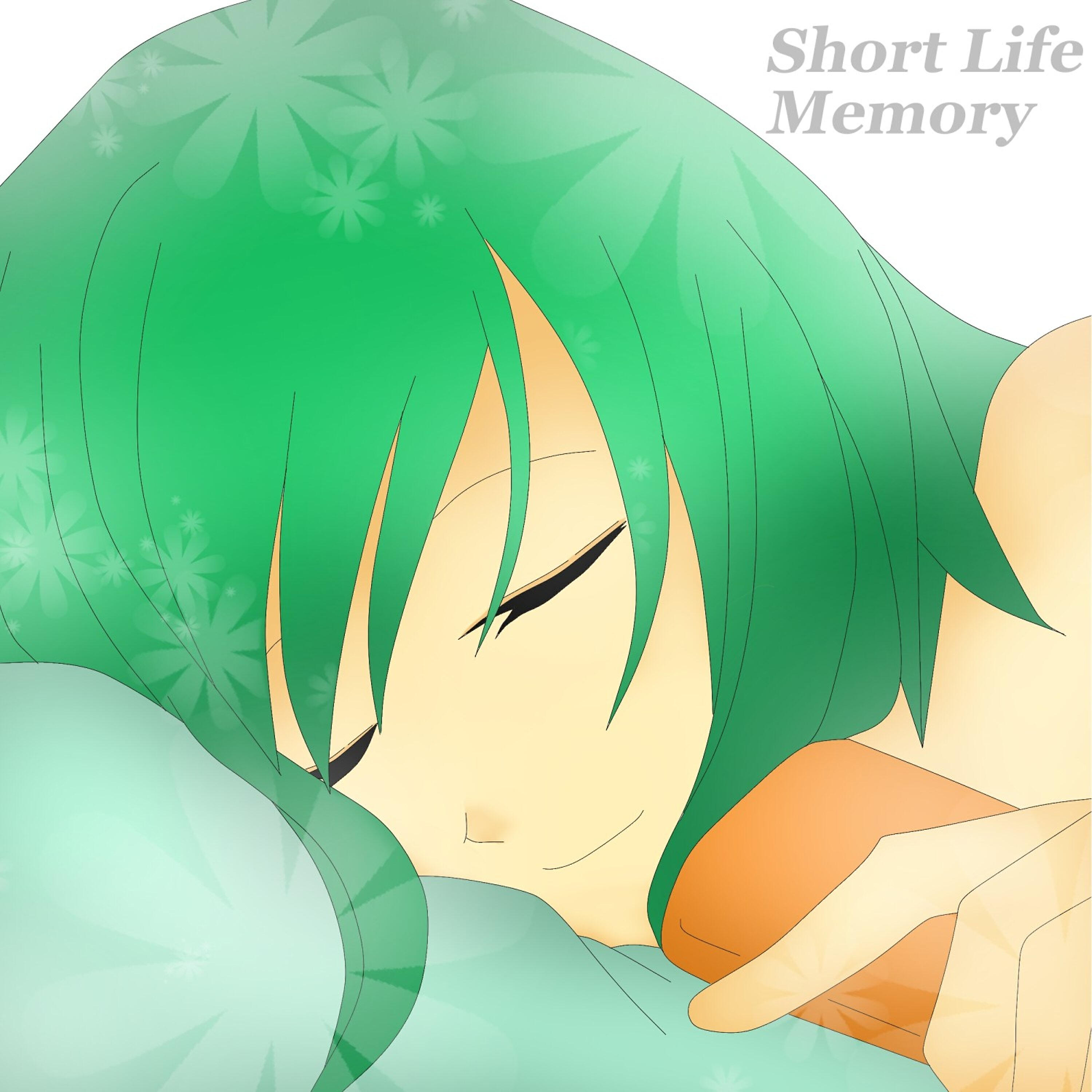 Релиз Short Life Memory