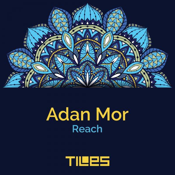 Релиз Reach