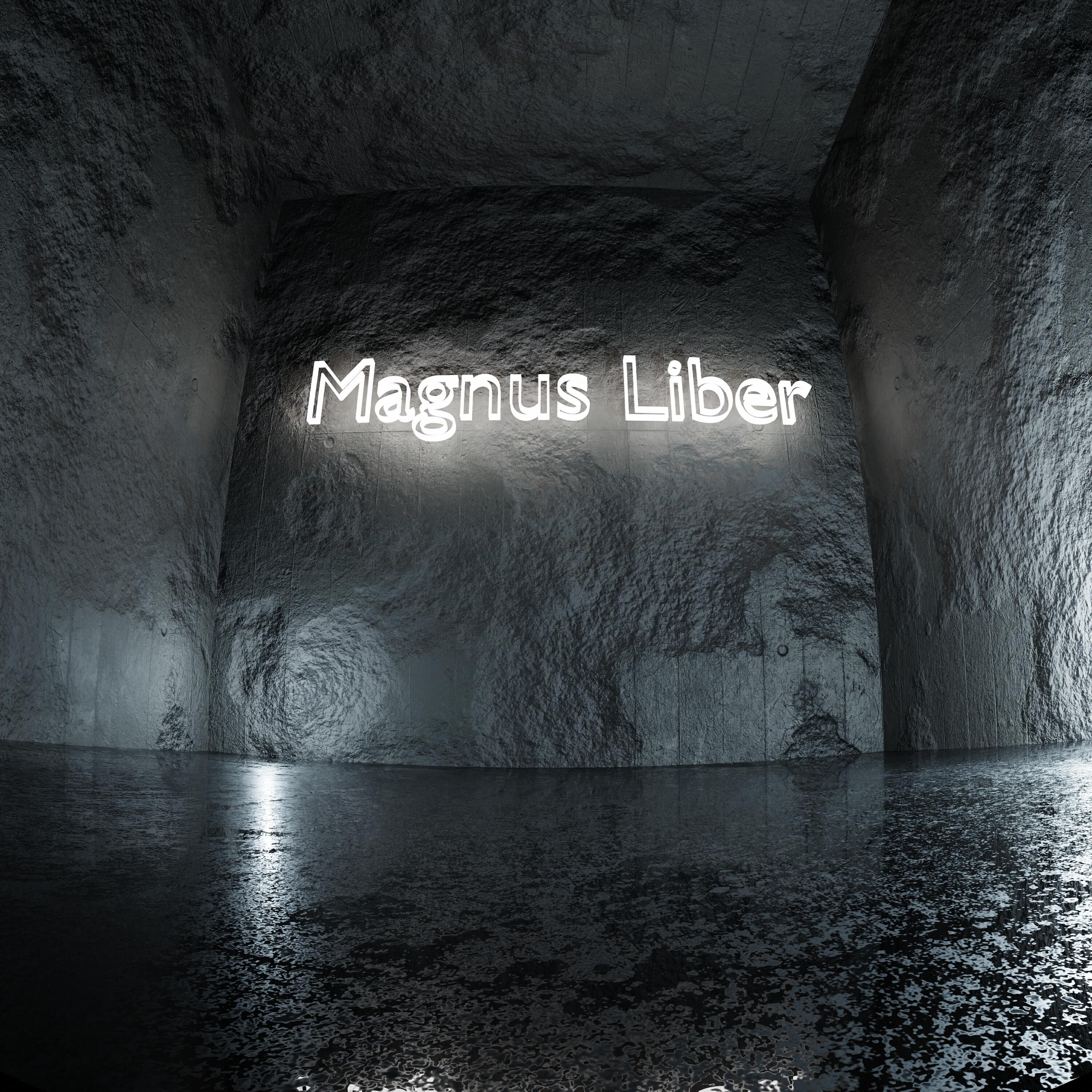 Релиз Magnus Liber