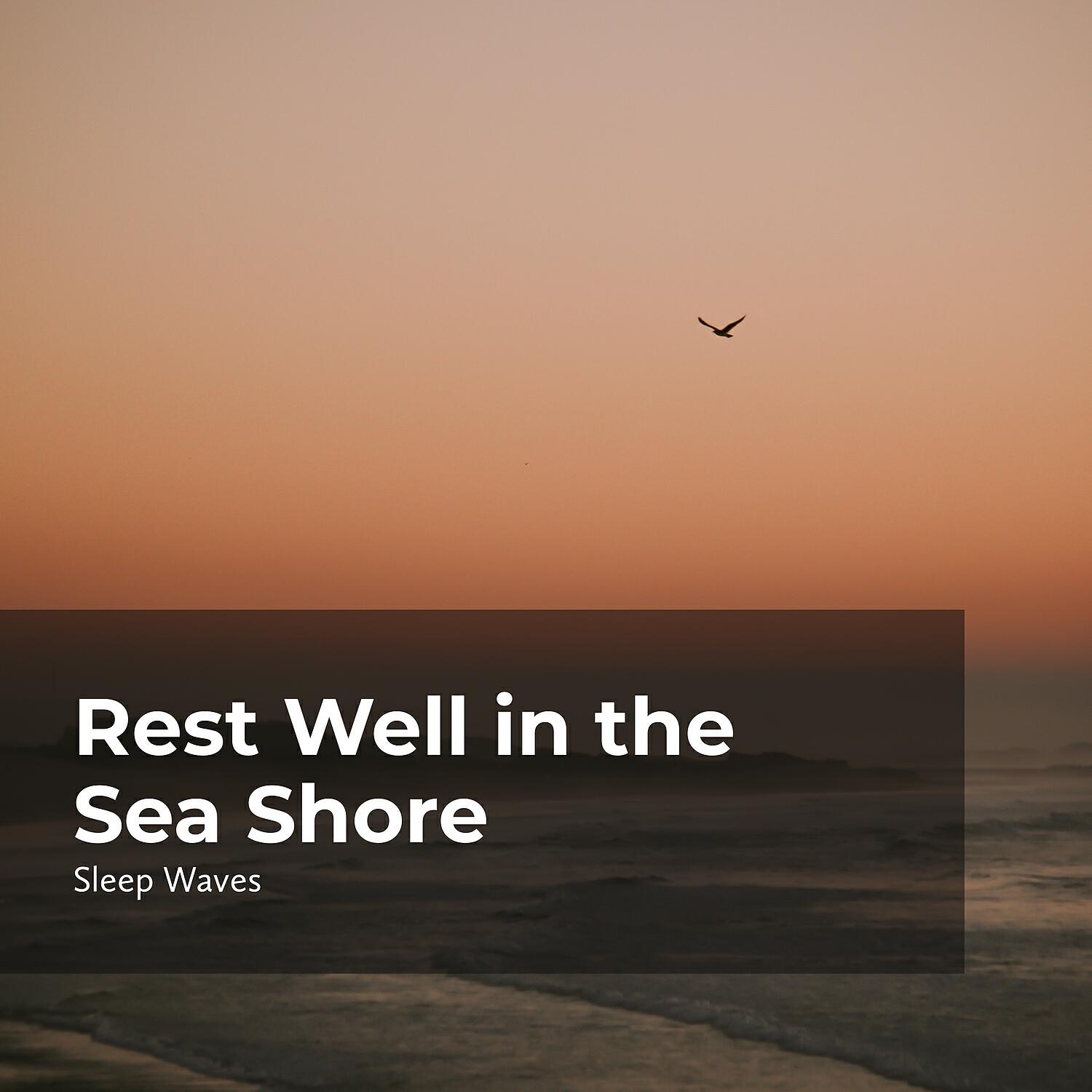 Релиз Rest Well in the Sea Shore