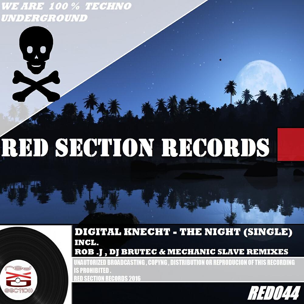 Релиз The Night