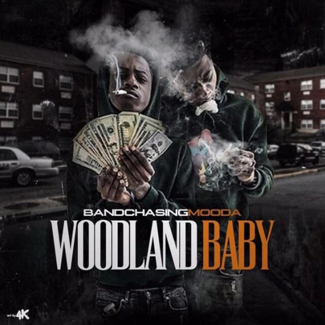 Релиз Woodland Baby