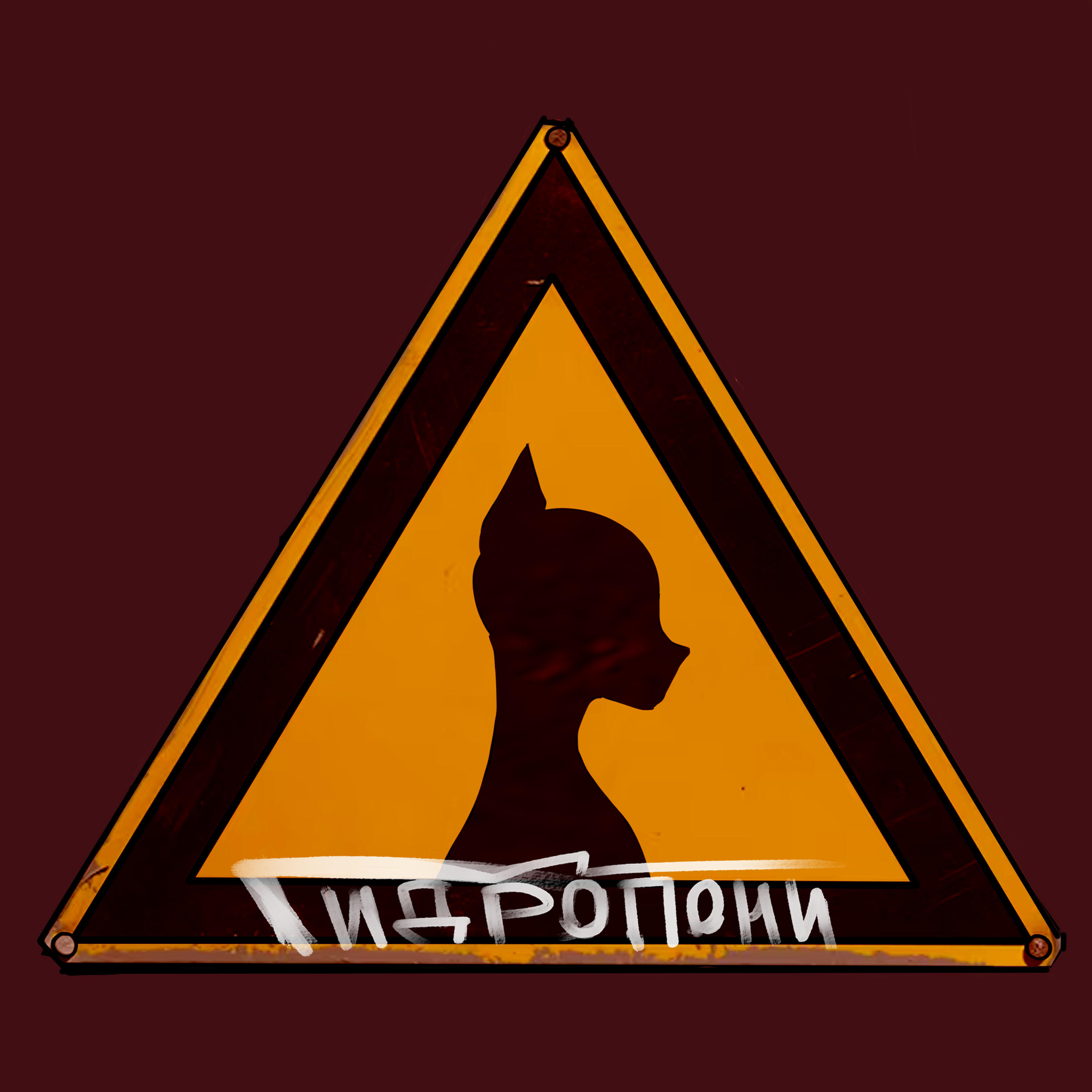 Гидропони