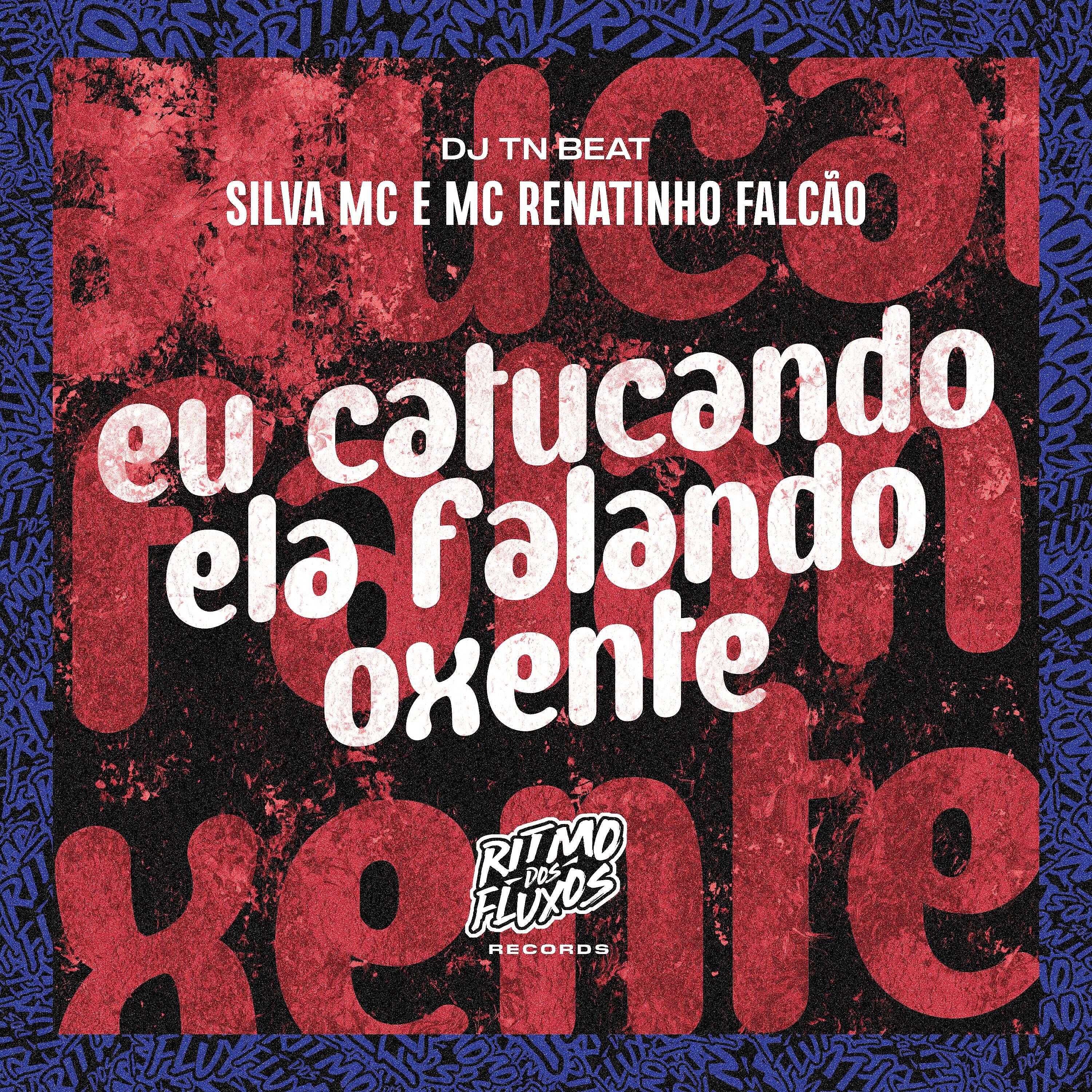 Скачать песню Silva MC, MC Renatinho Falcão, DJ TN Beat - Eu Catucando Ela Falando Oxente бесплатно в MP3 для Android и iOS
