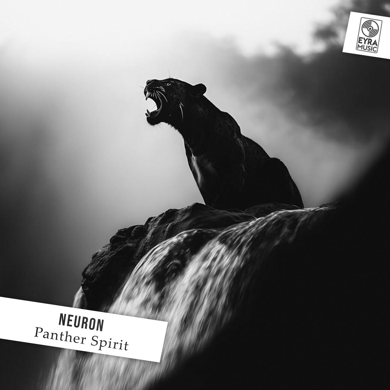 Постер альбома Panther Spirit