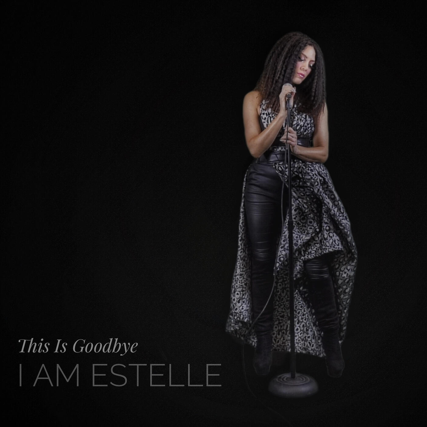 Релиз This Is Goodbye