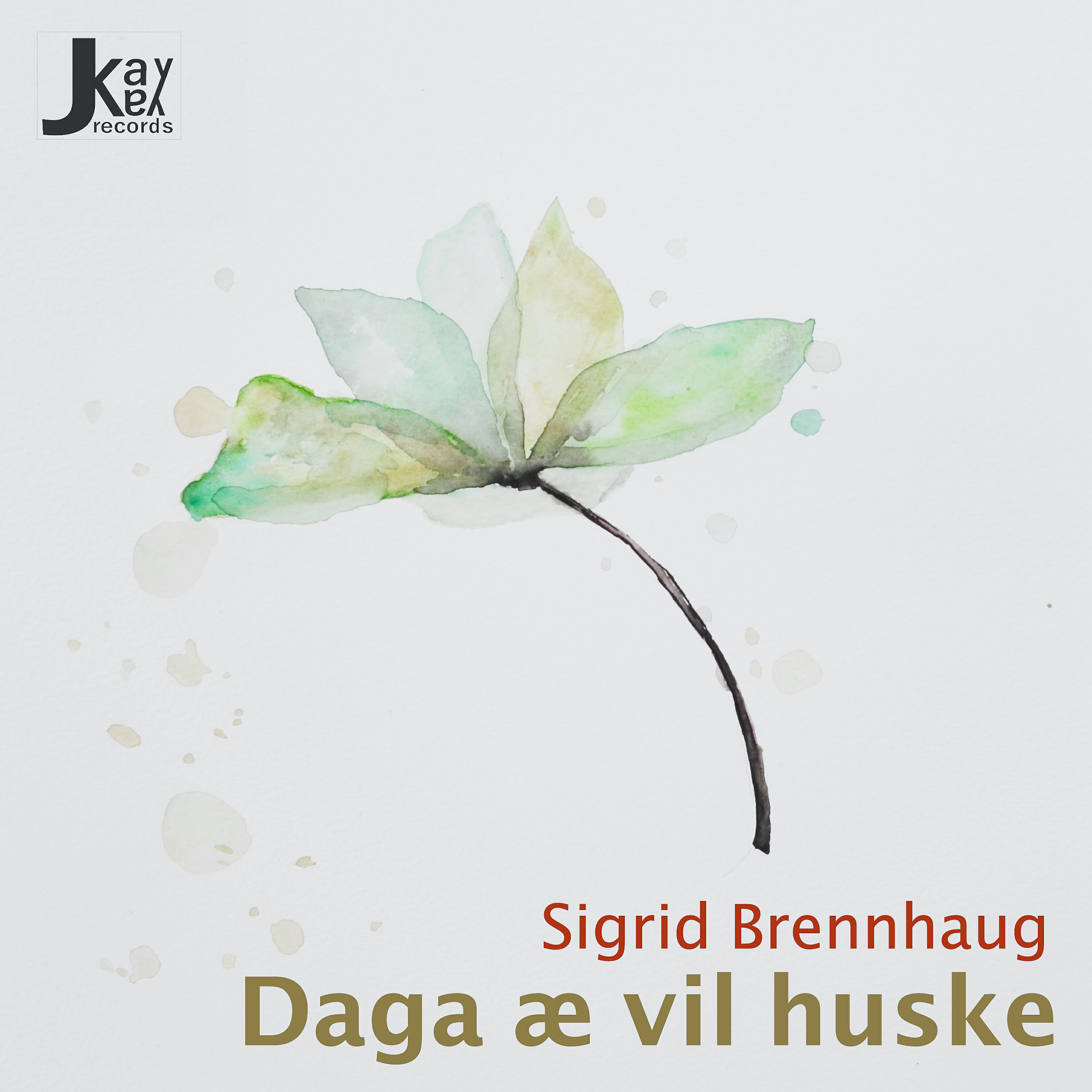 Релиз Daga Æ Vil Huske