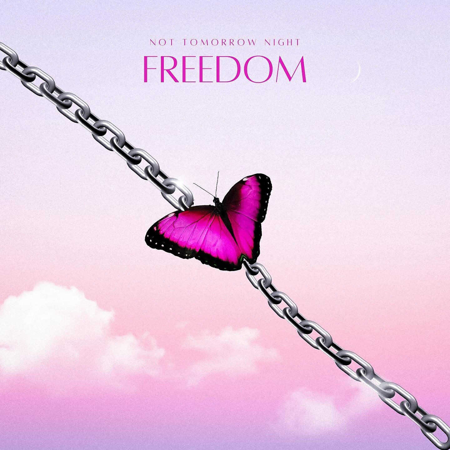 Постер альбома Freedom