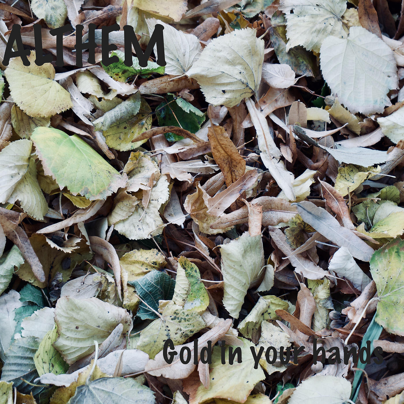 Релиз Gold in You Hands