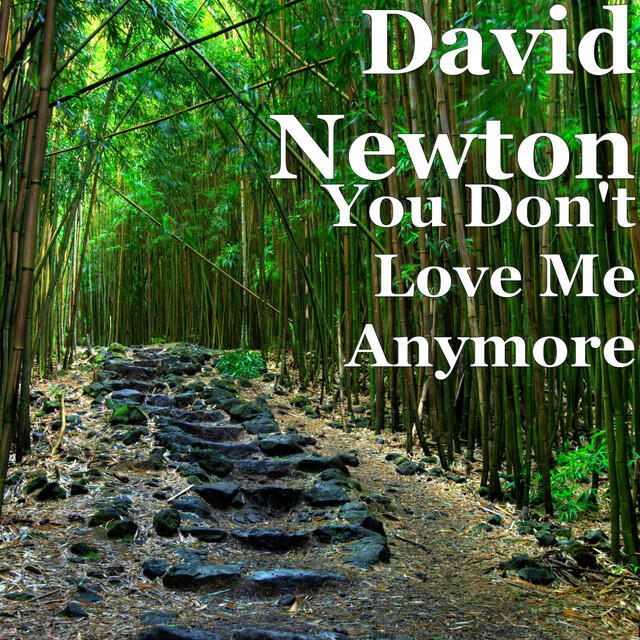 Релиз You Don't Love Me Anymore