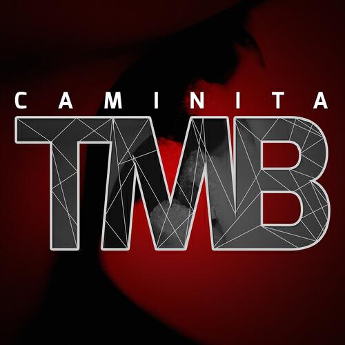 Релиз TMB