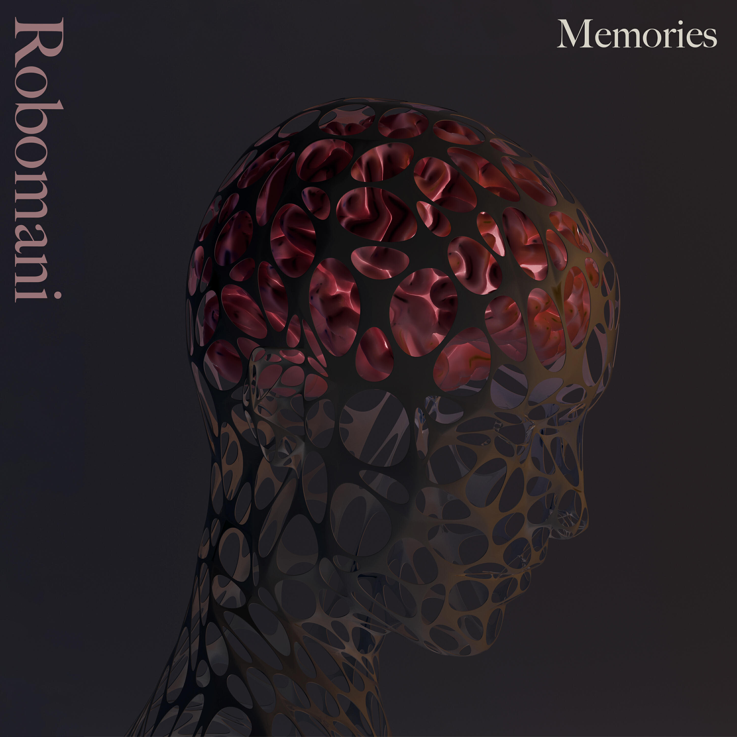 Релиз Memories