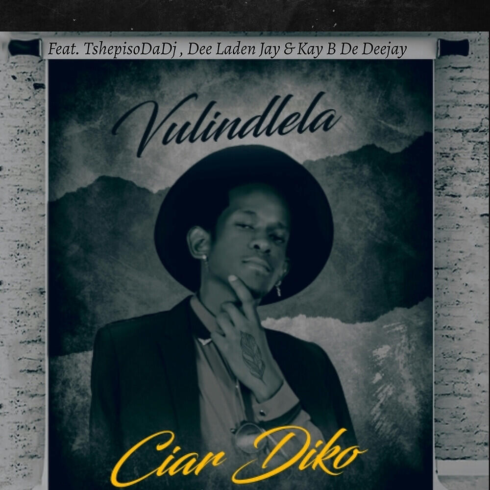 Релиз Vulindlela