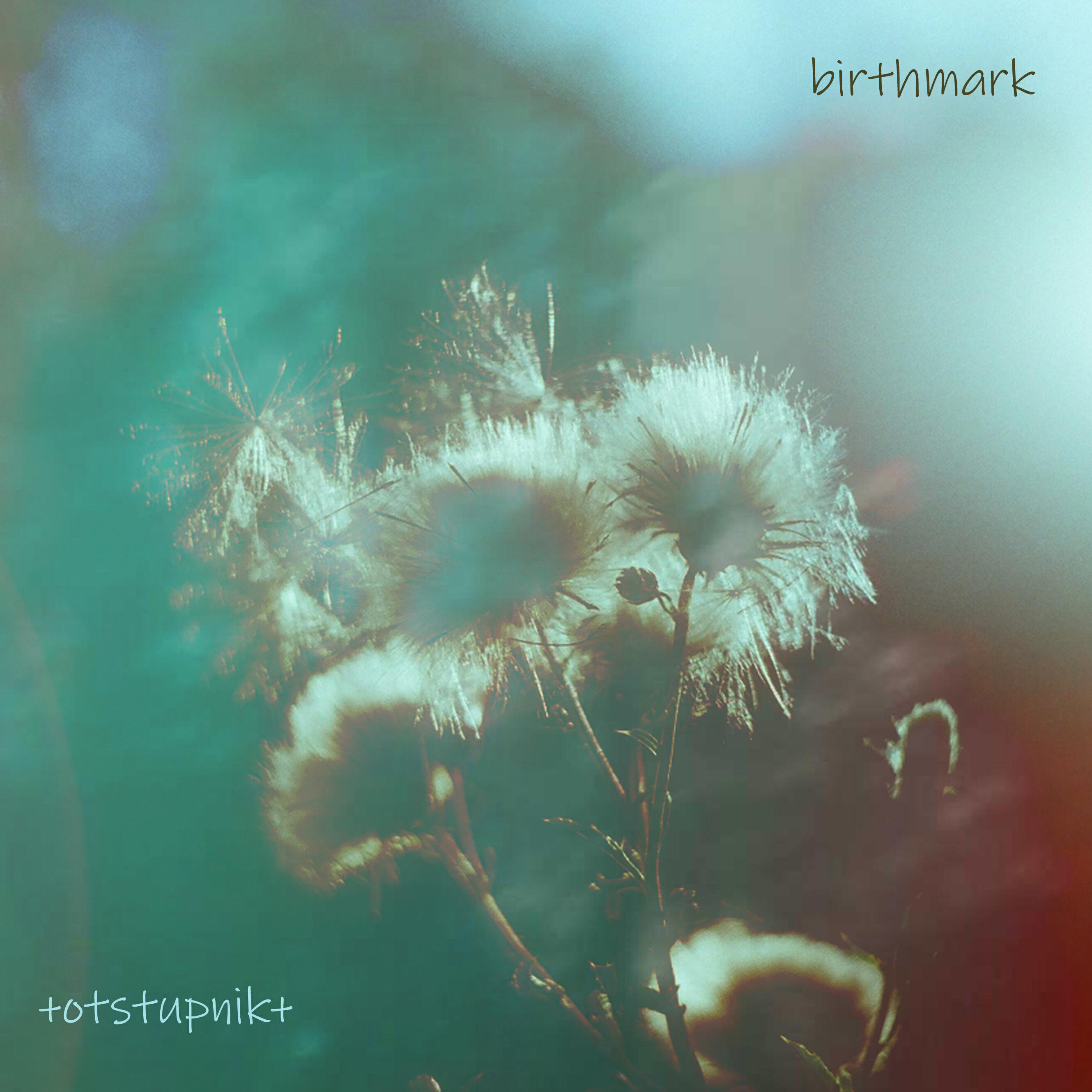 Релиз Birthmark