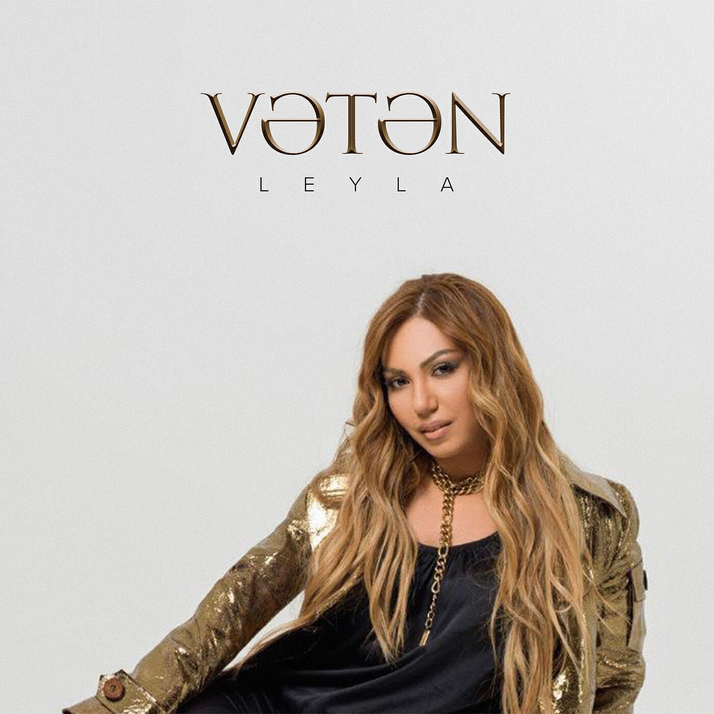 Релиз Vətən