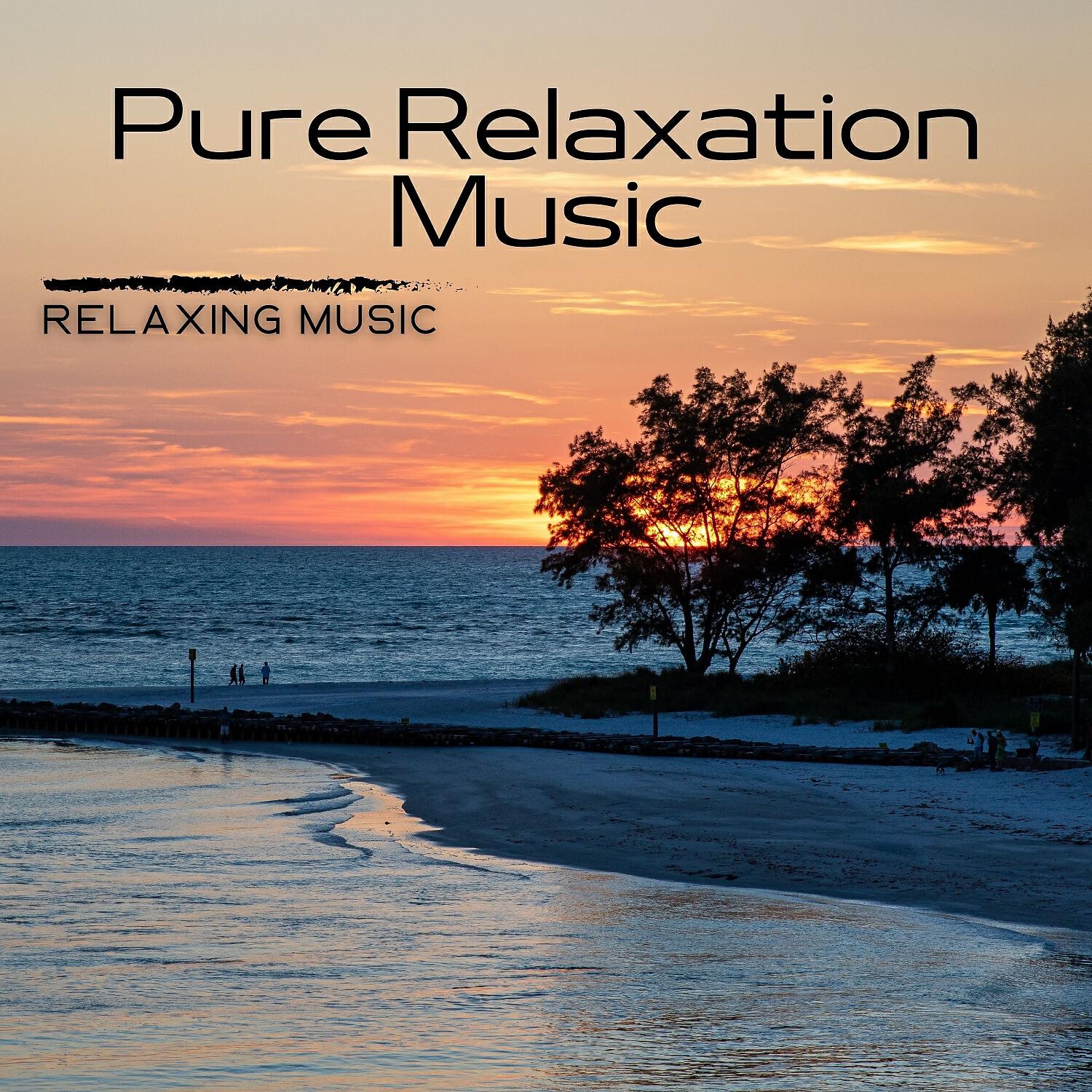 Постер альбома Pure Relaxation Music