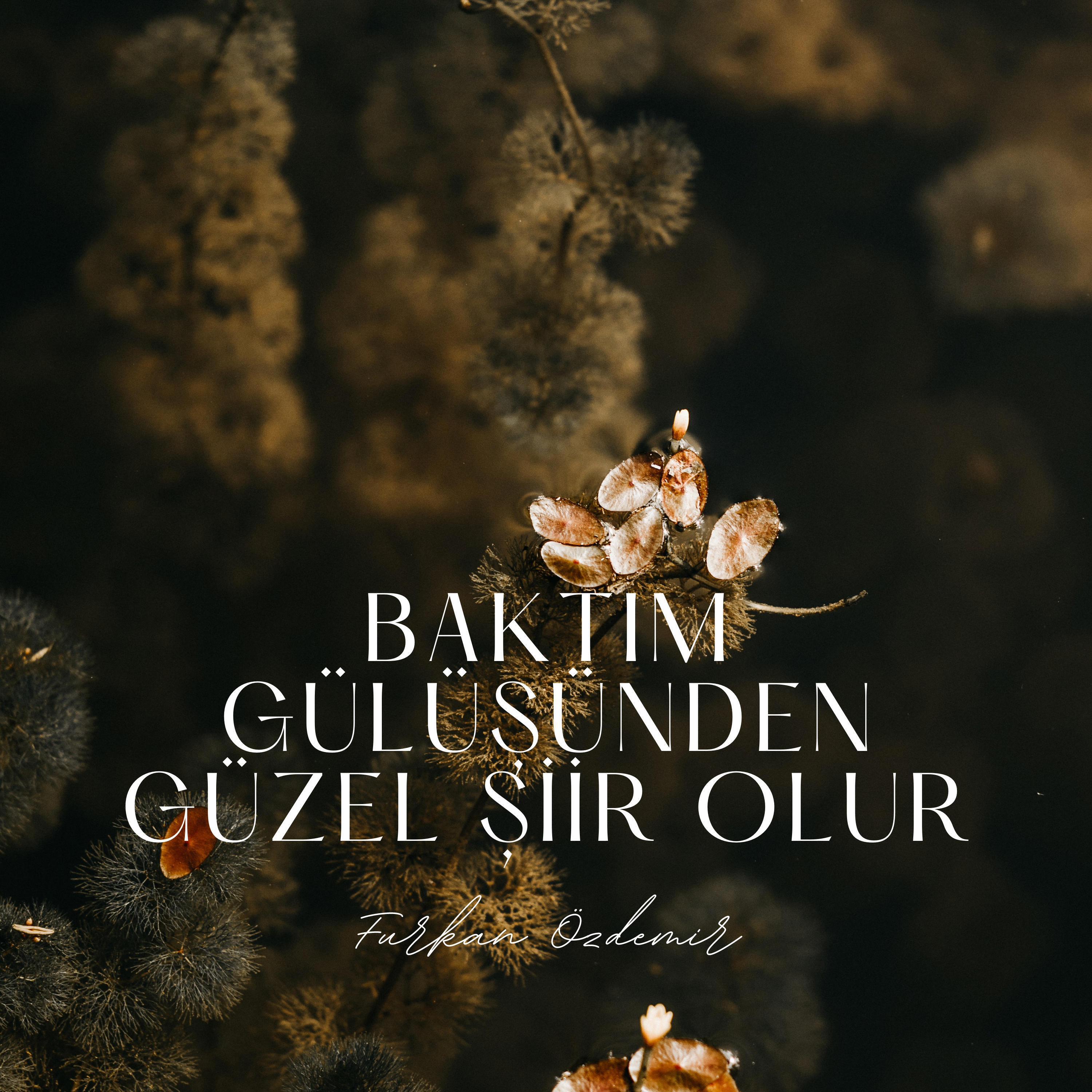 Furkan Özdemir
