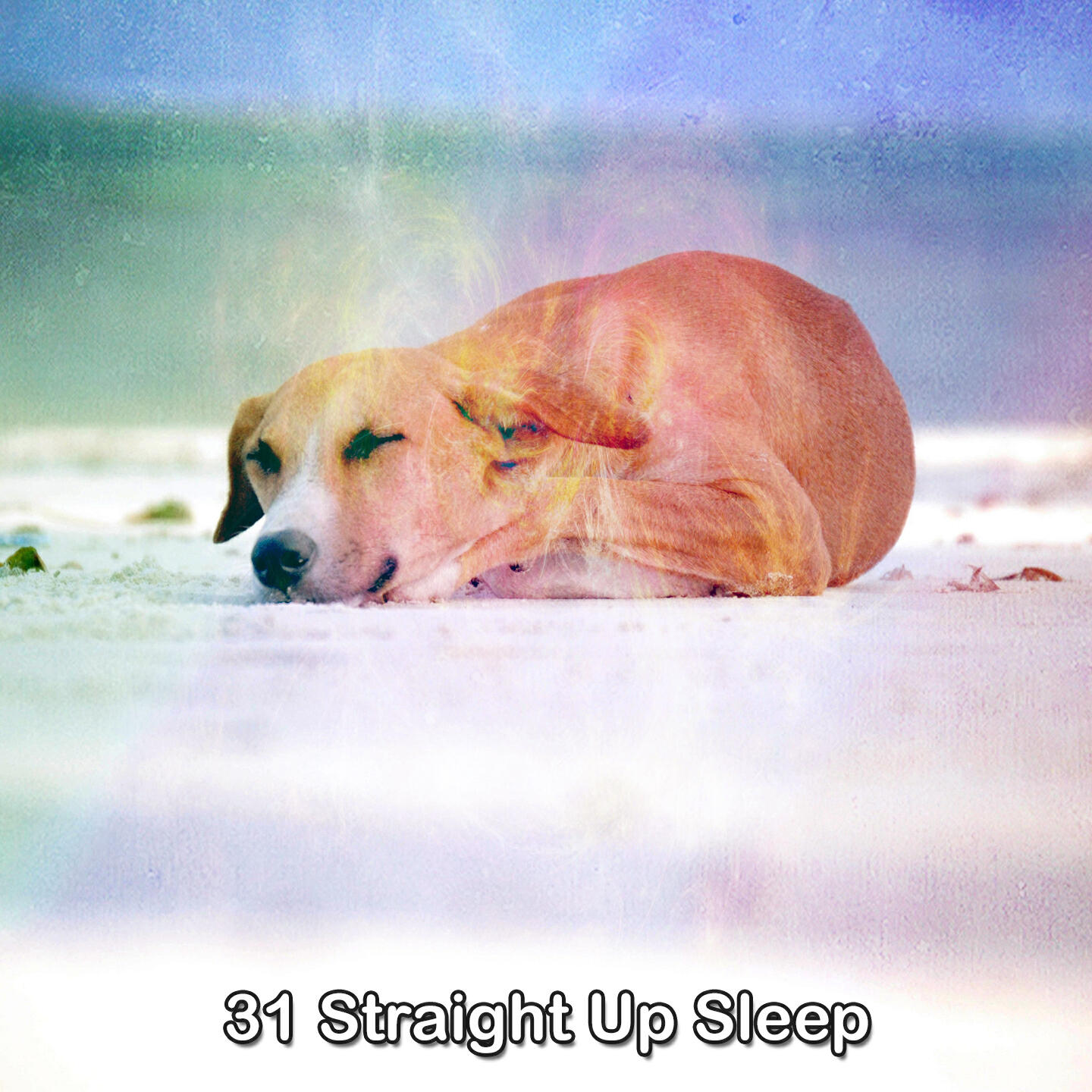 Релиз 31 Straight Up Sleep