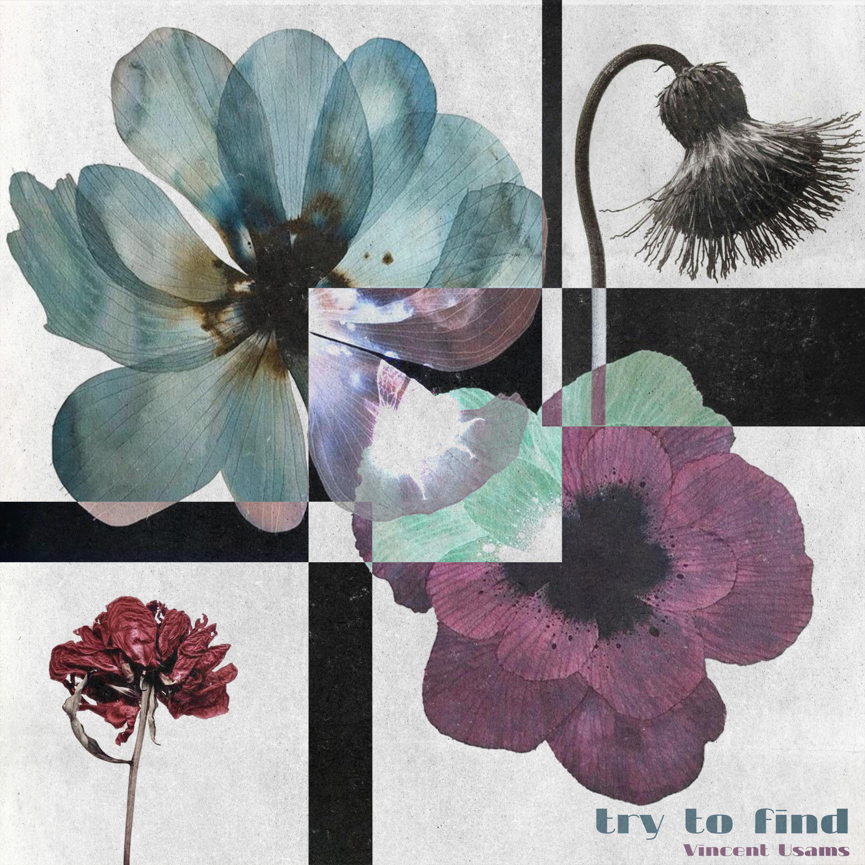 Релиз try to find