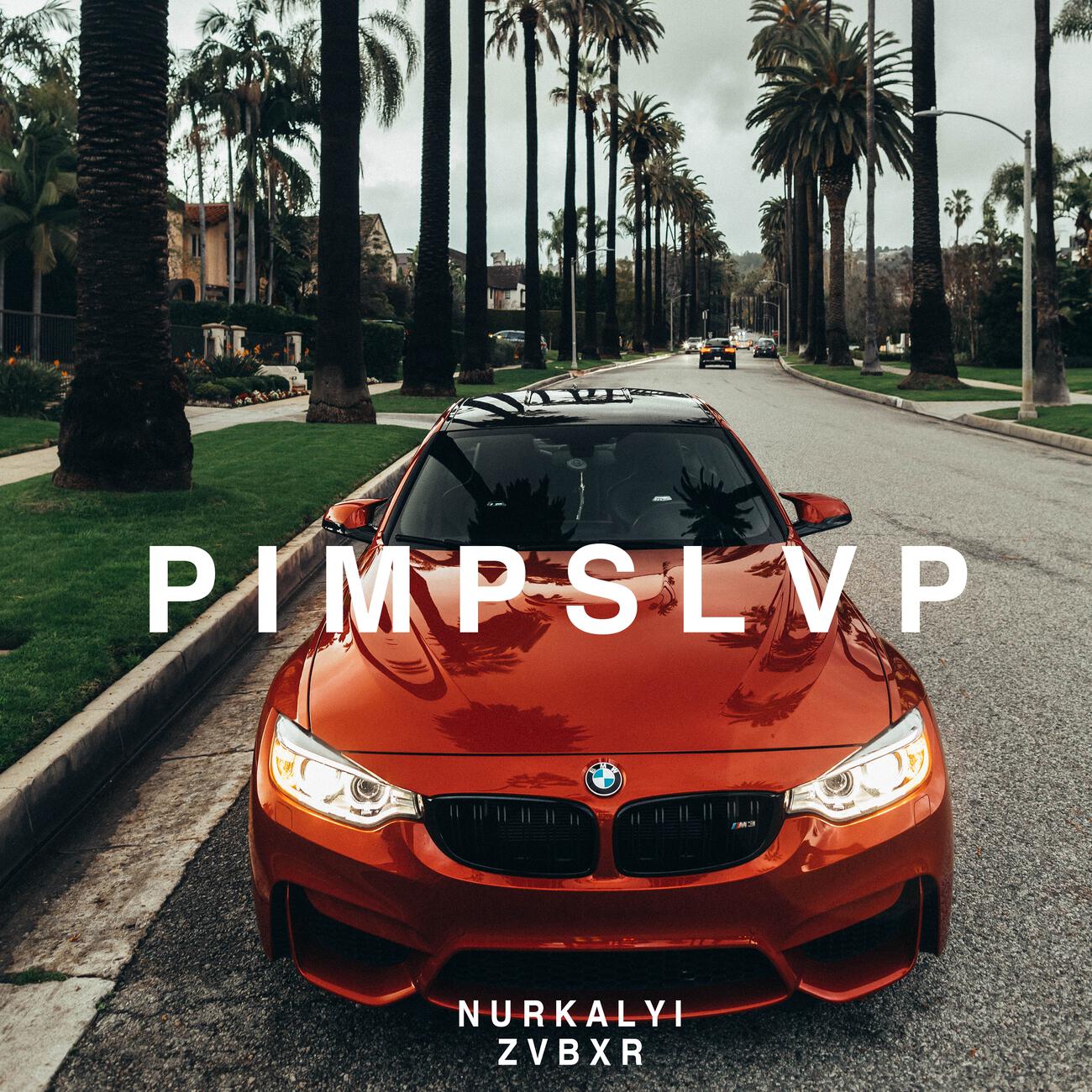 Постер альбома Pimp Slvp
