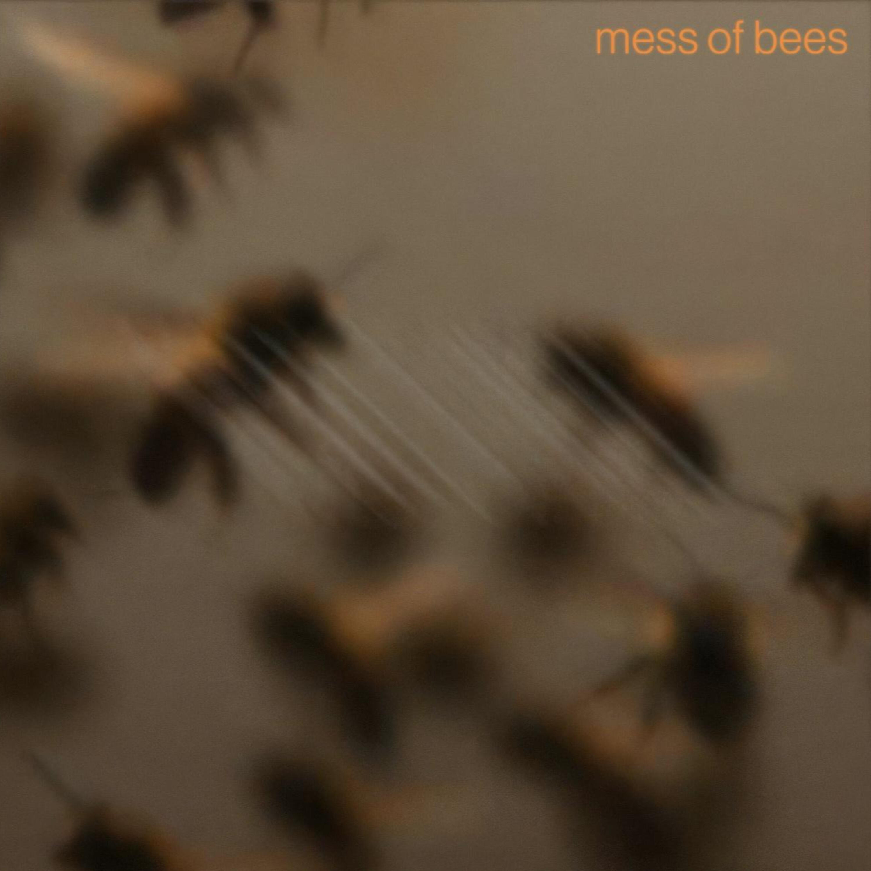 Релиз Mess of Bees