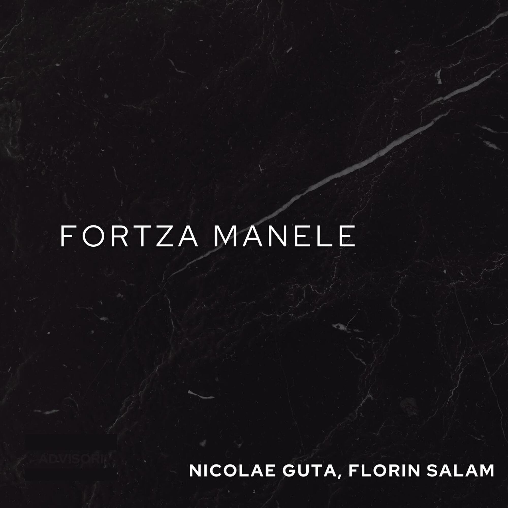 Релиз Fortza Manele